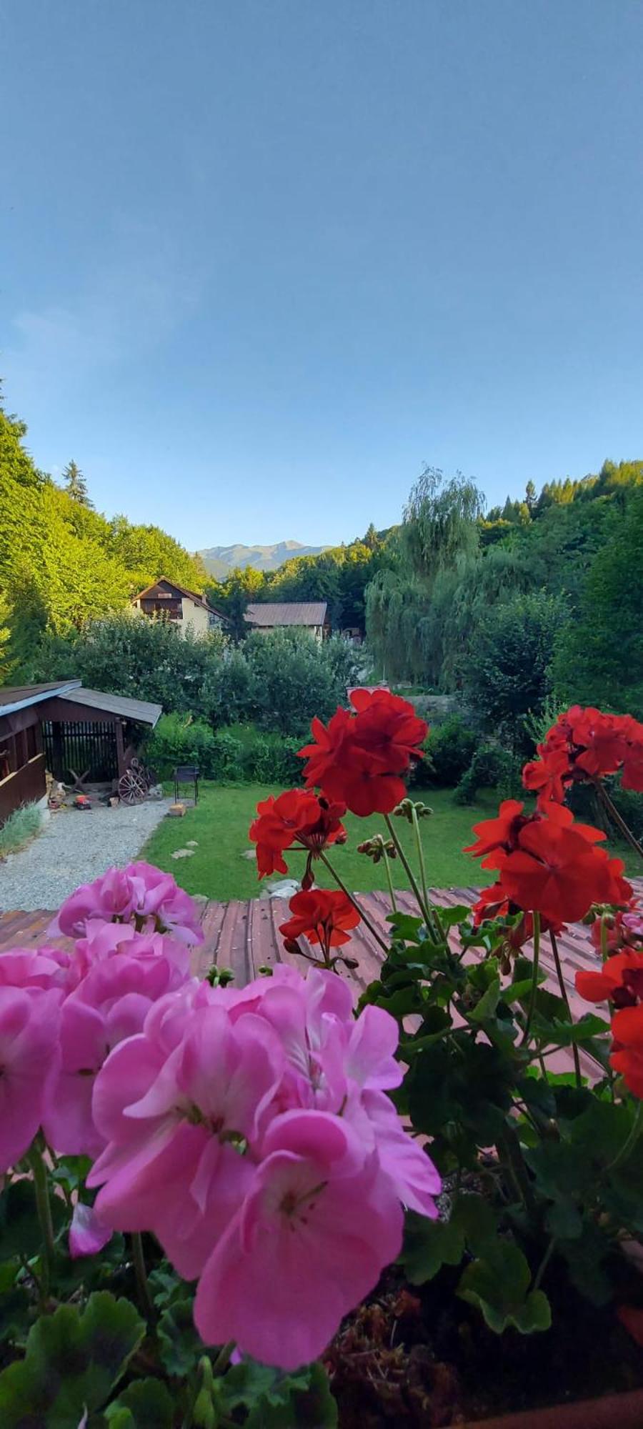 La cabana bunicului