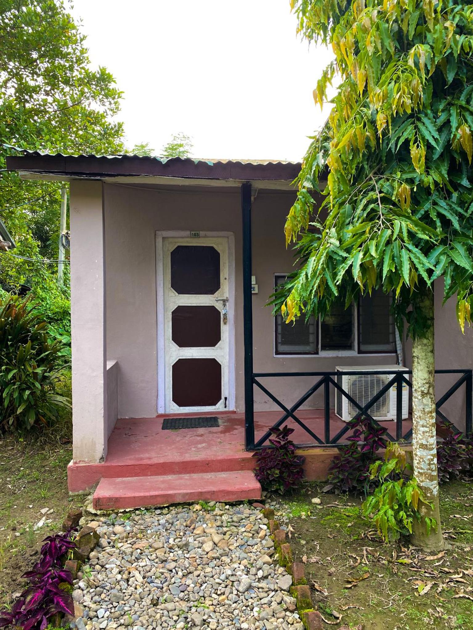 garden