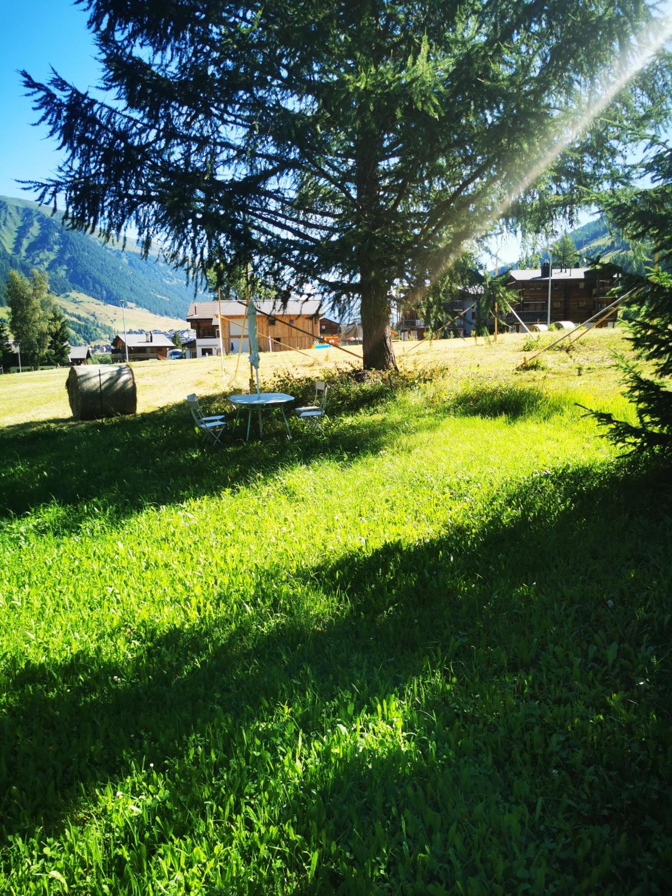 Chalet Bosbes view 4