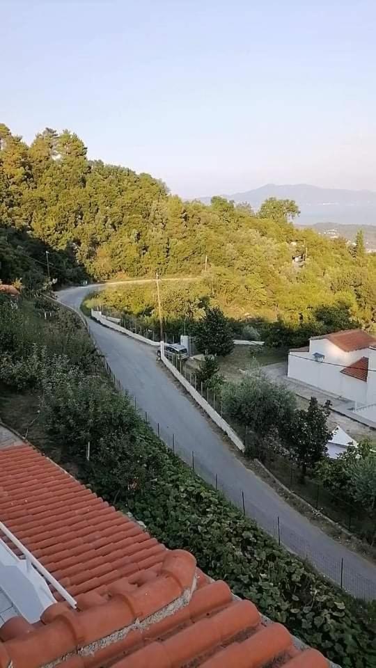 Alexandra's Studios view 5