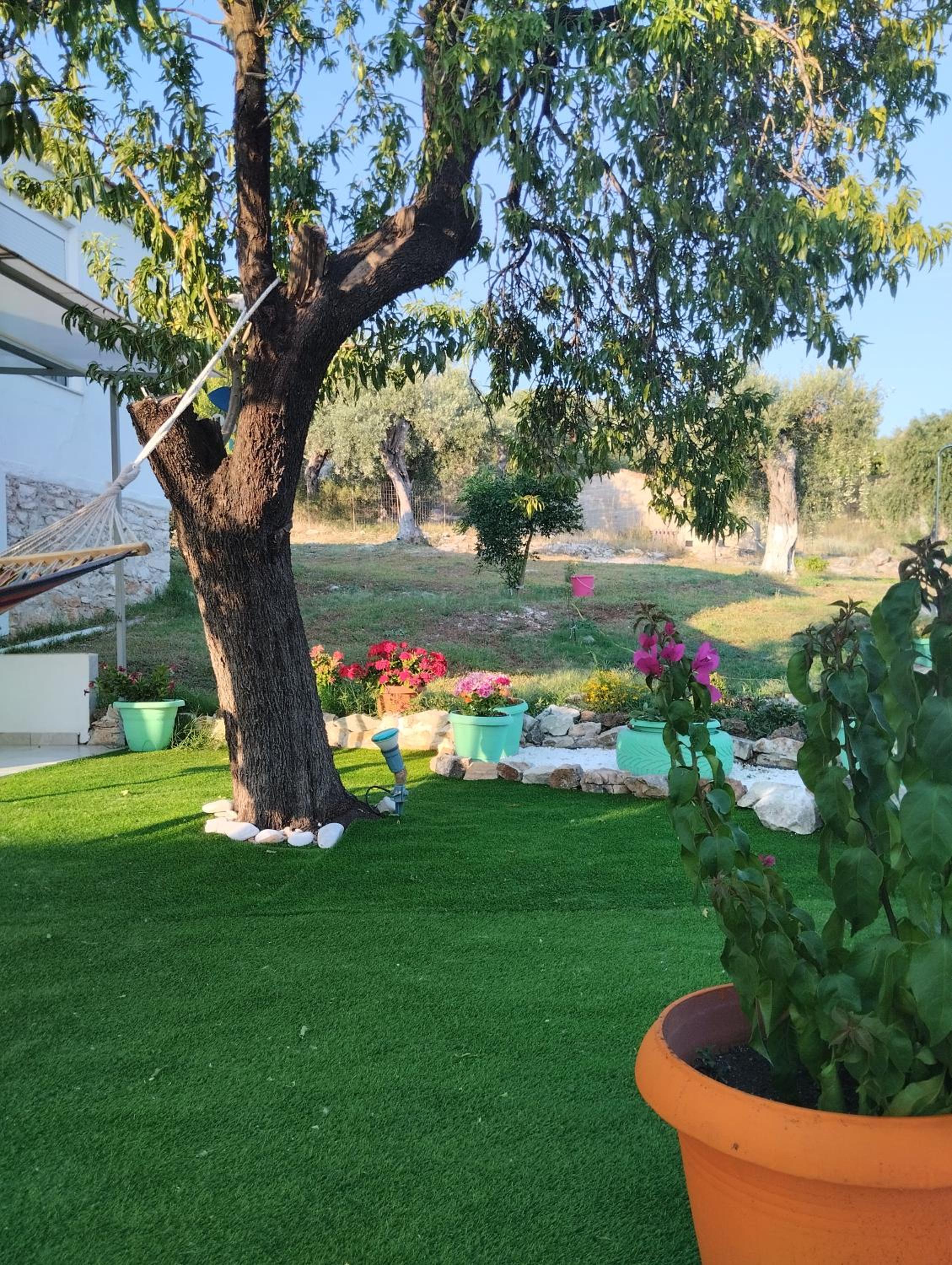 Photo 32