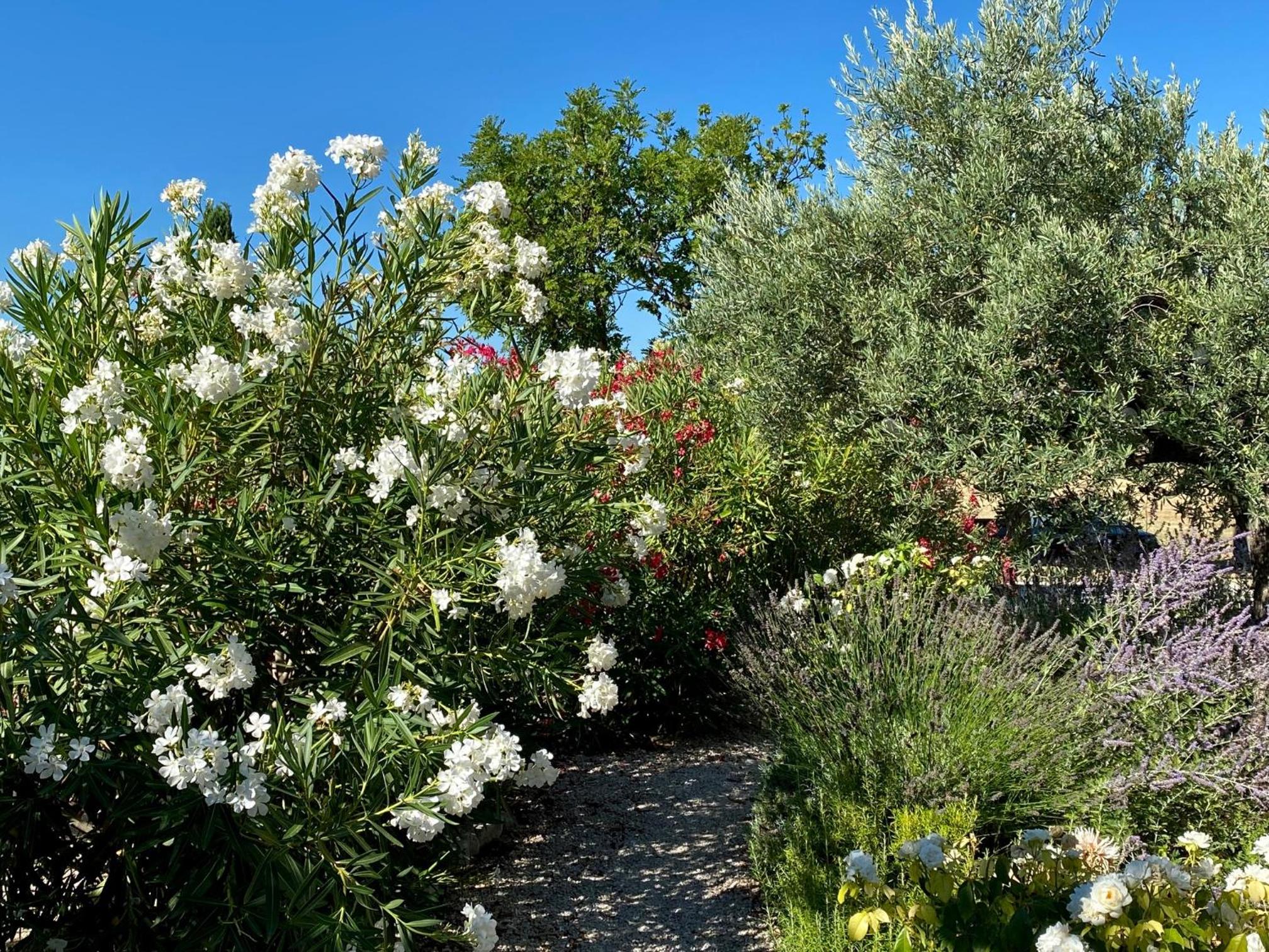 Photo 47