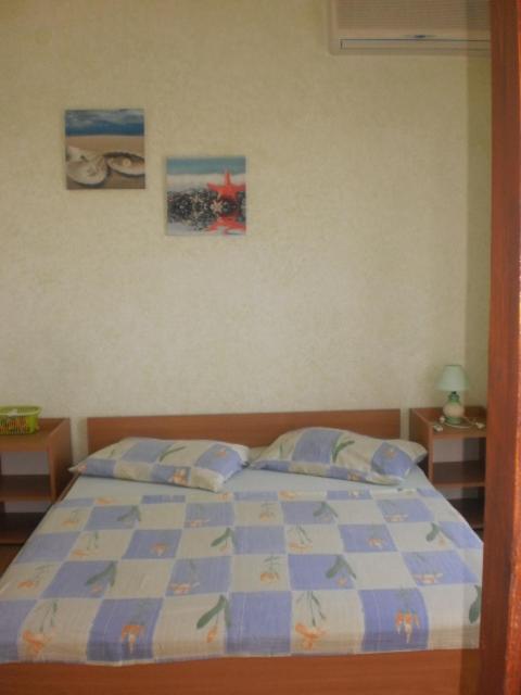 Photo 49
