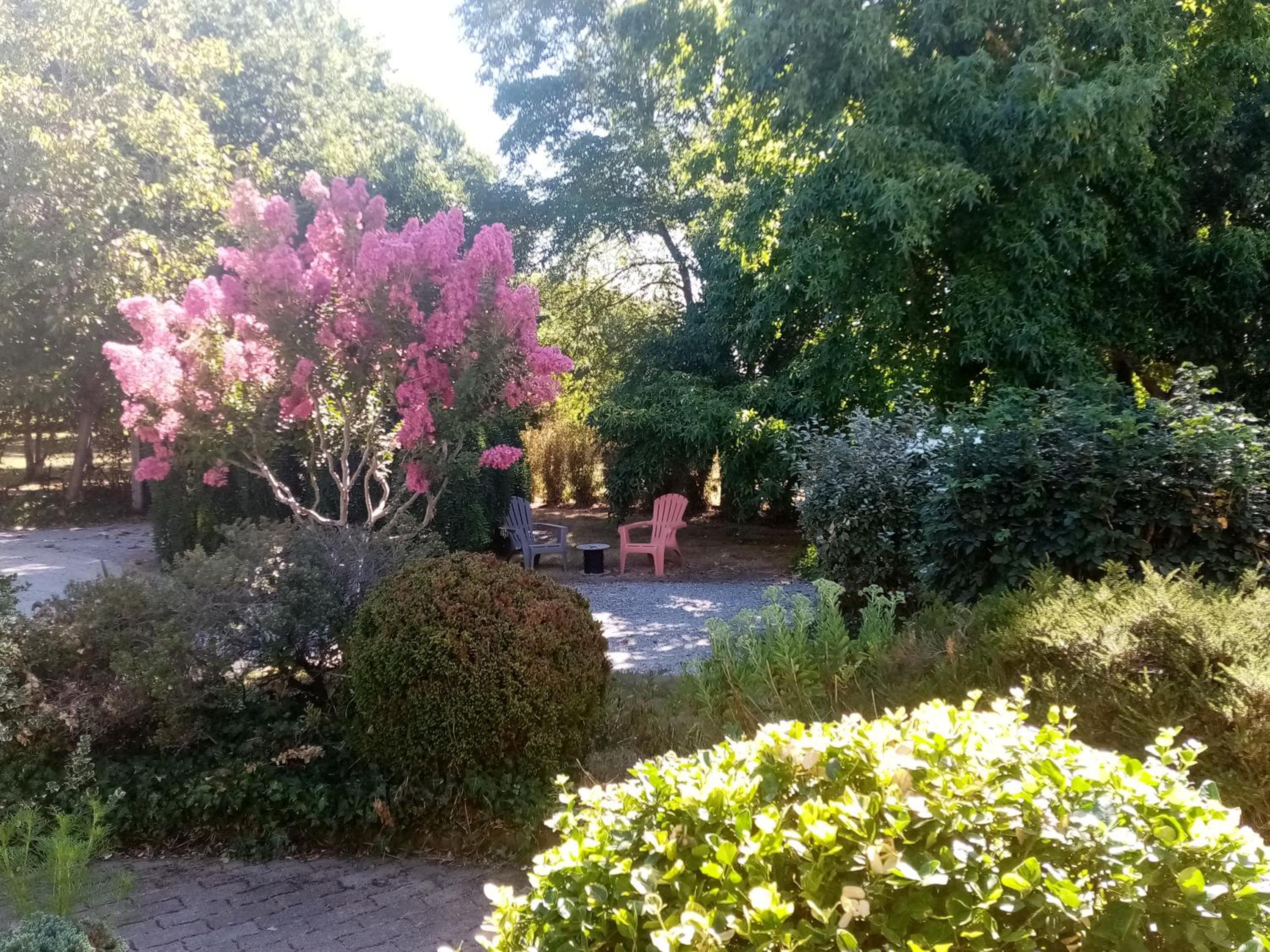 l'Eden naturiste écureuil