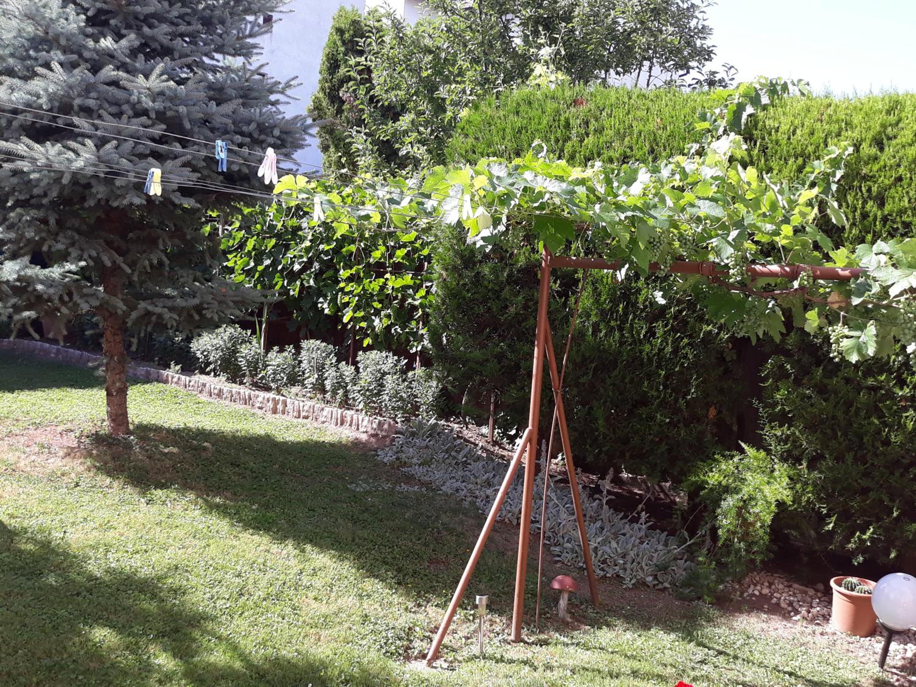 Photo 32