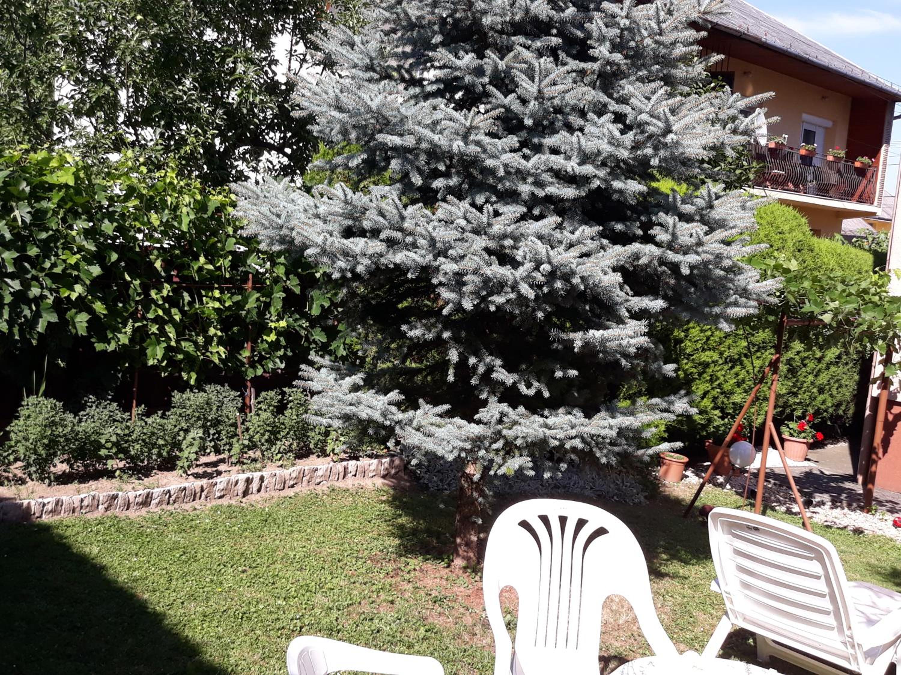 Photo 31