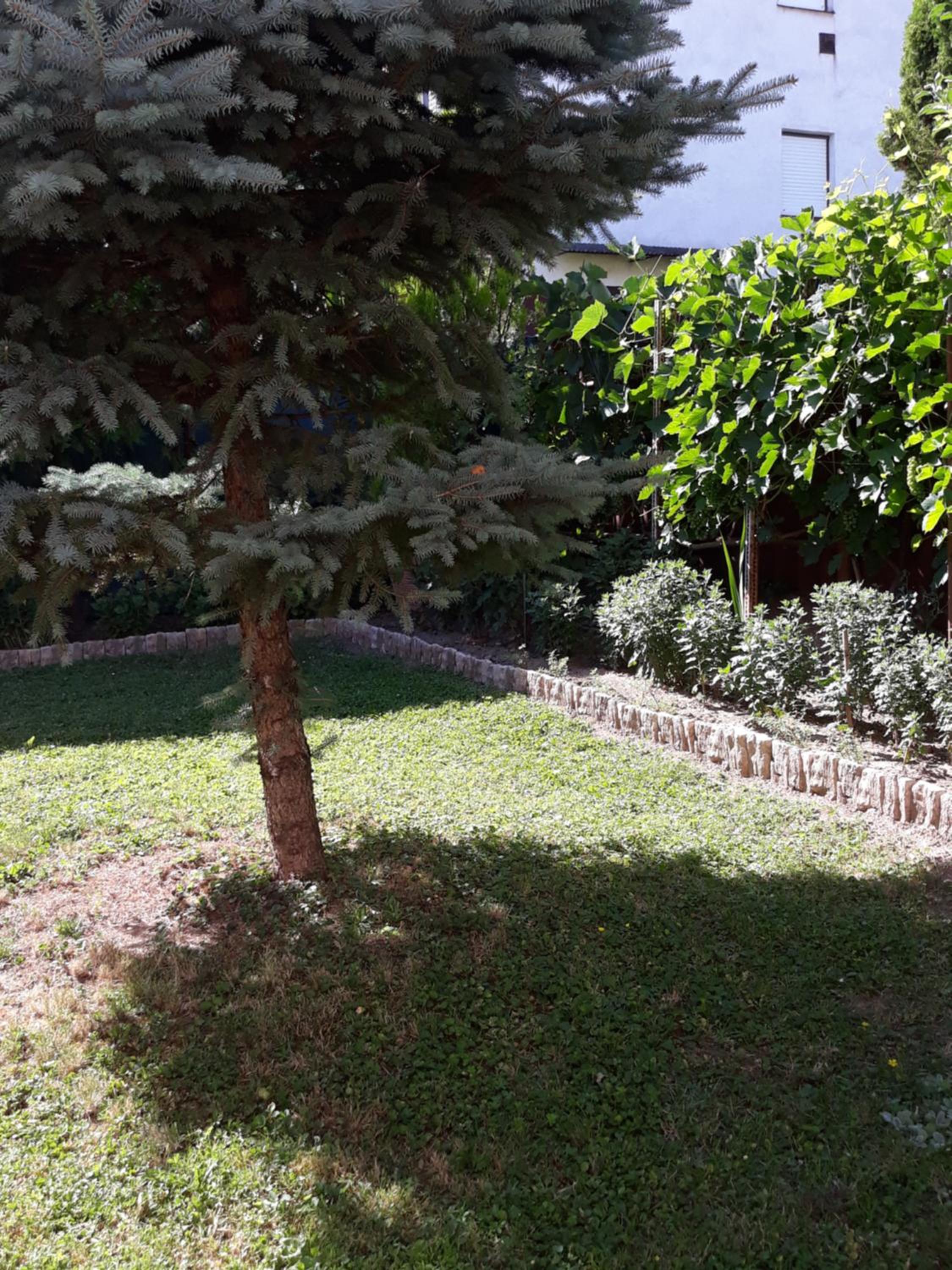 Photo 34