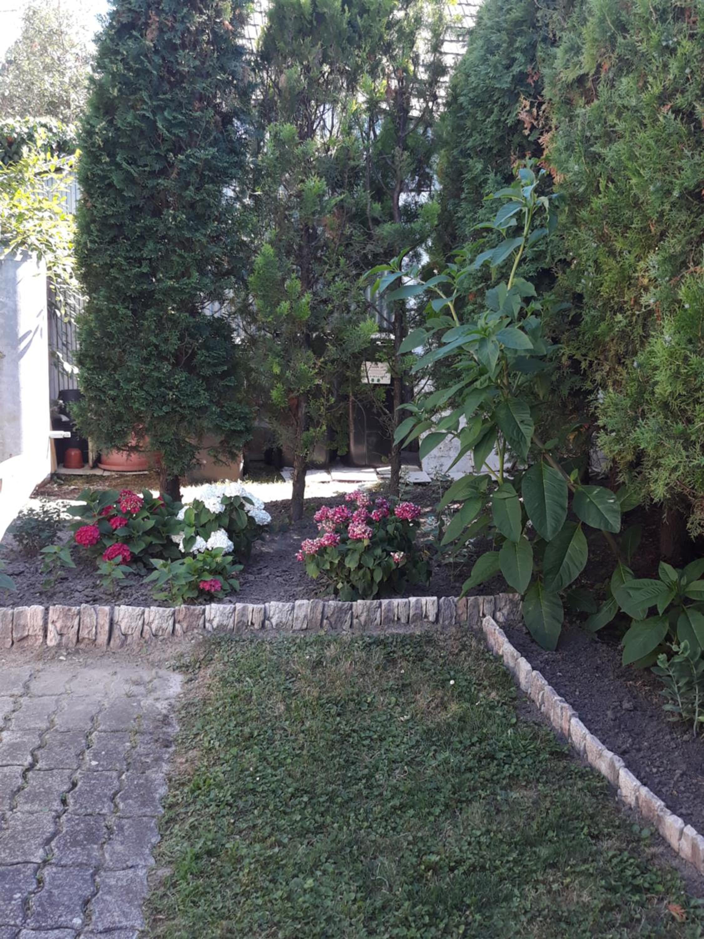 Photo 35