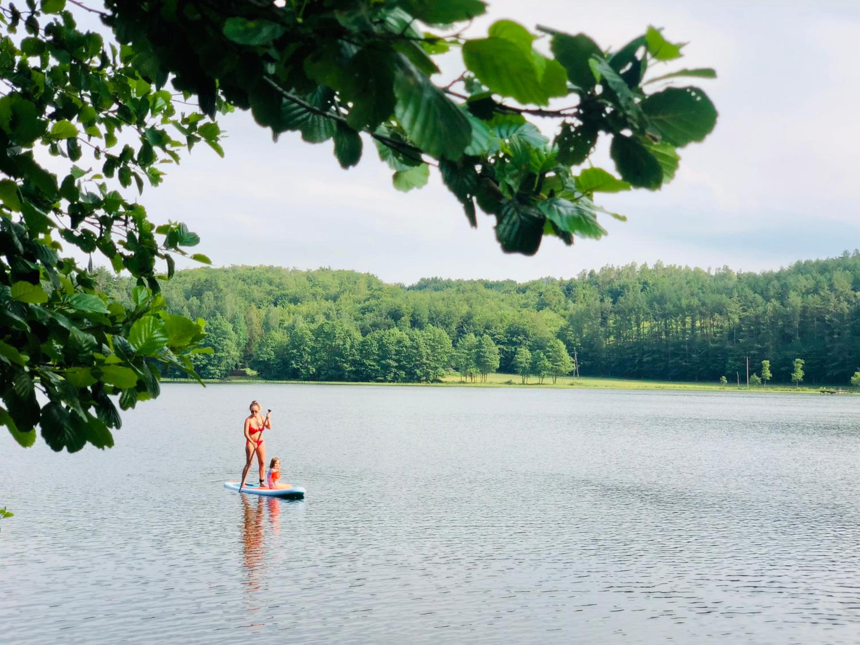 Czaplowisko - domki z sauną na Kaszubach view 3
