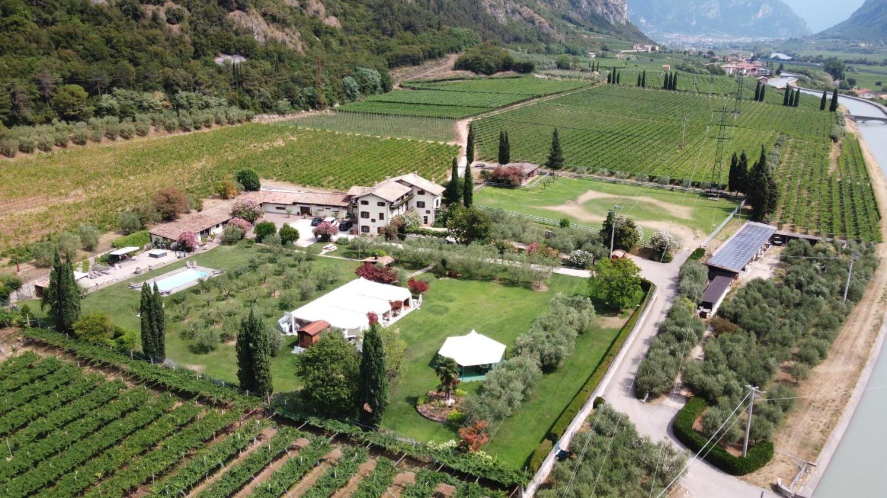 Az. Agr. Tenuta La Casetta view 3