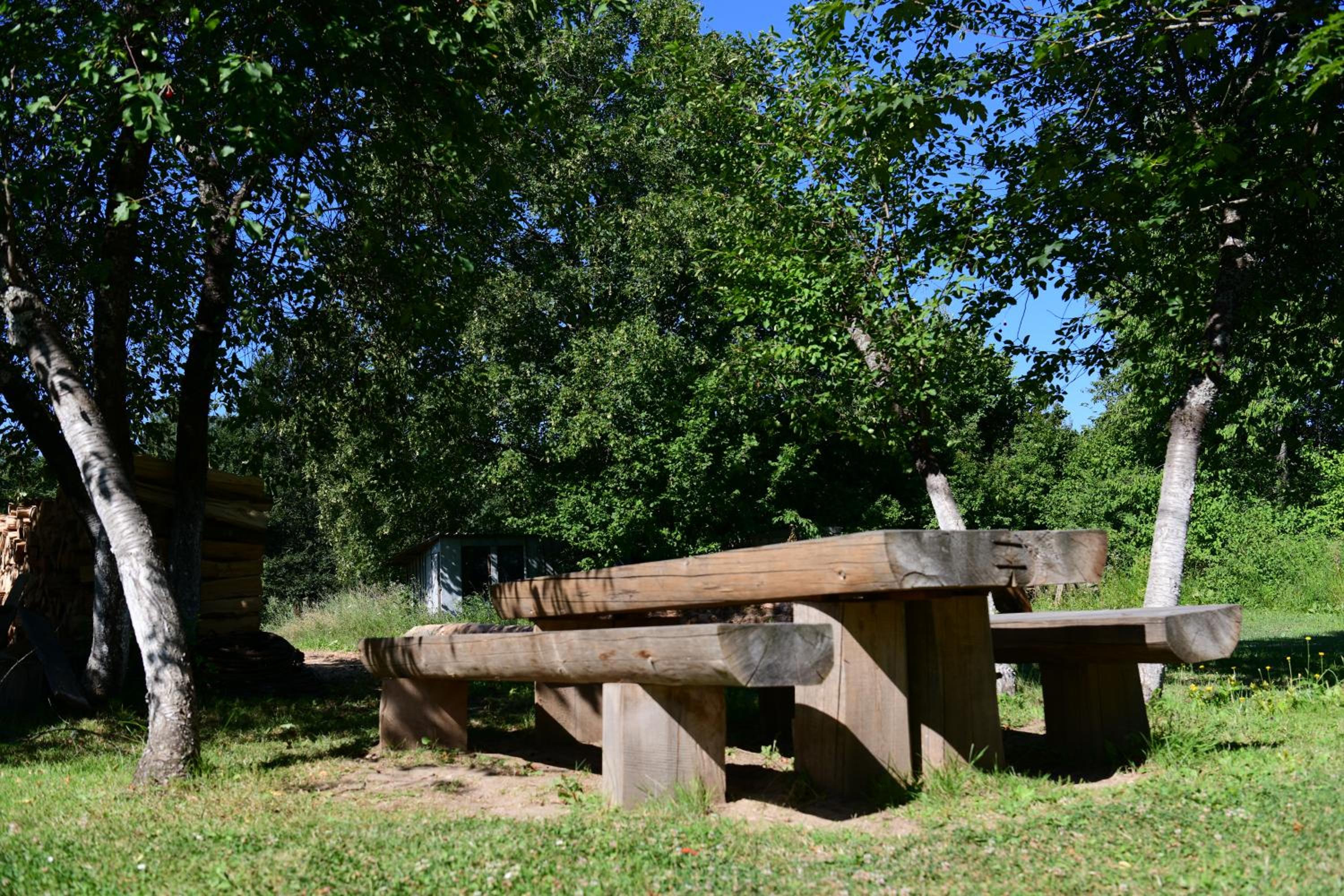 Photo 6