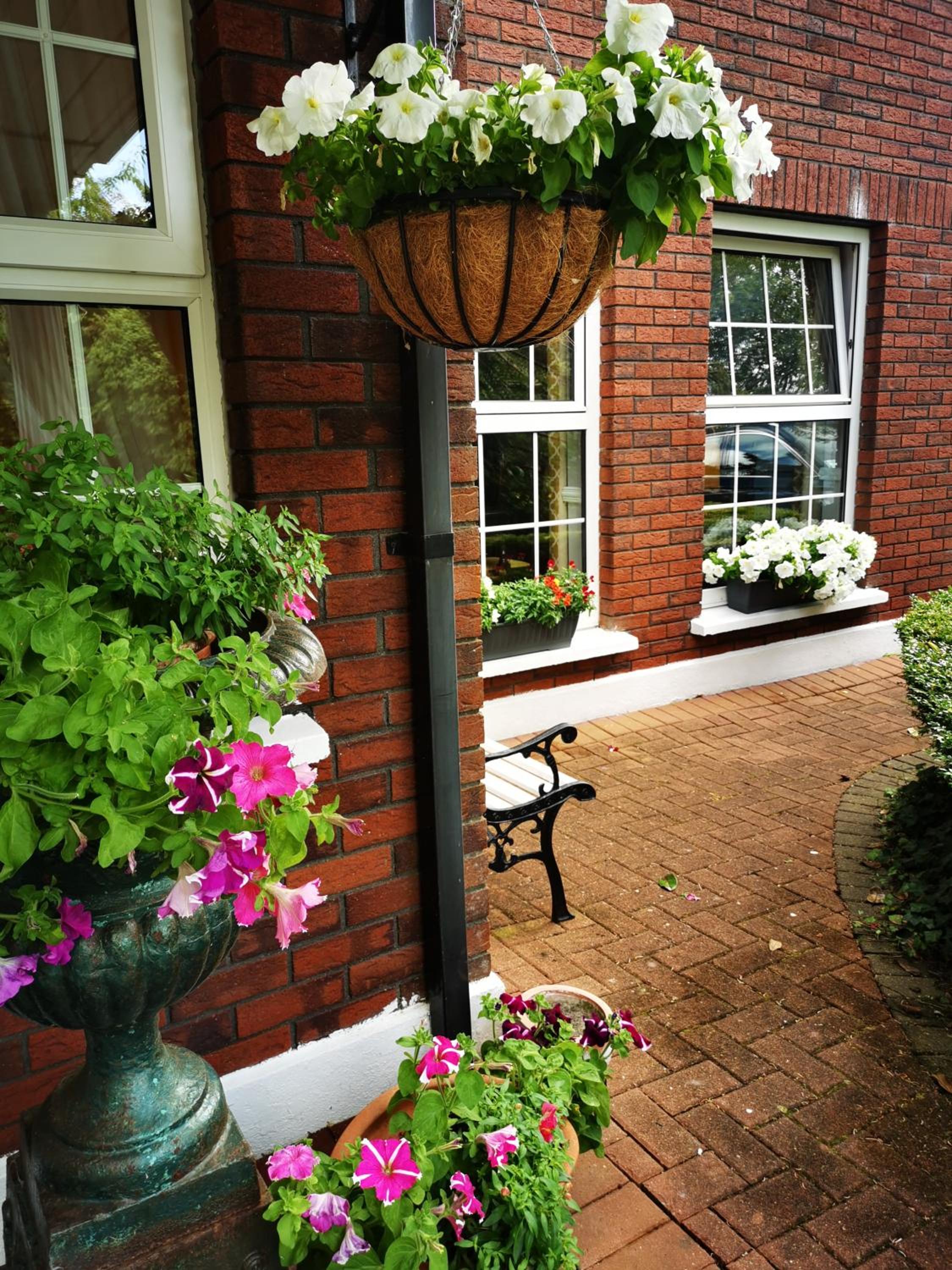 Balally House view 2