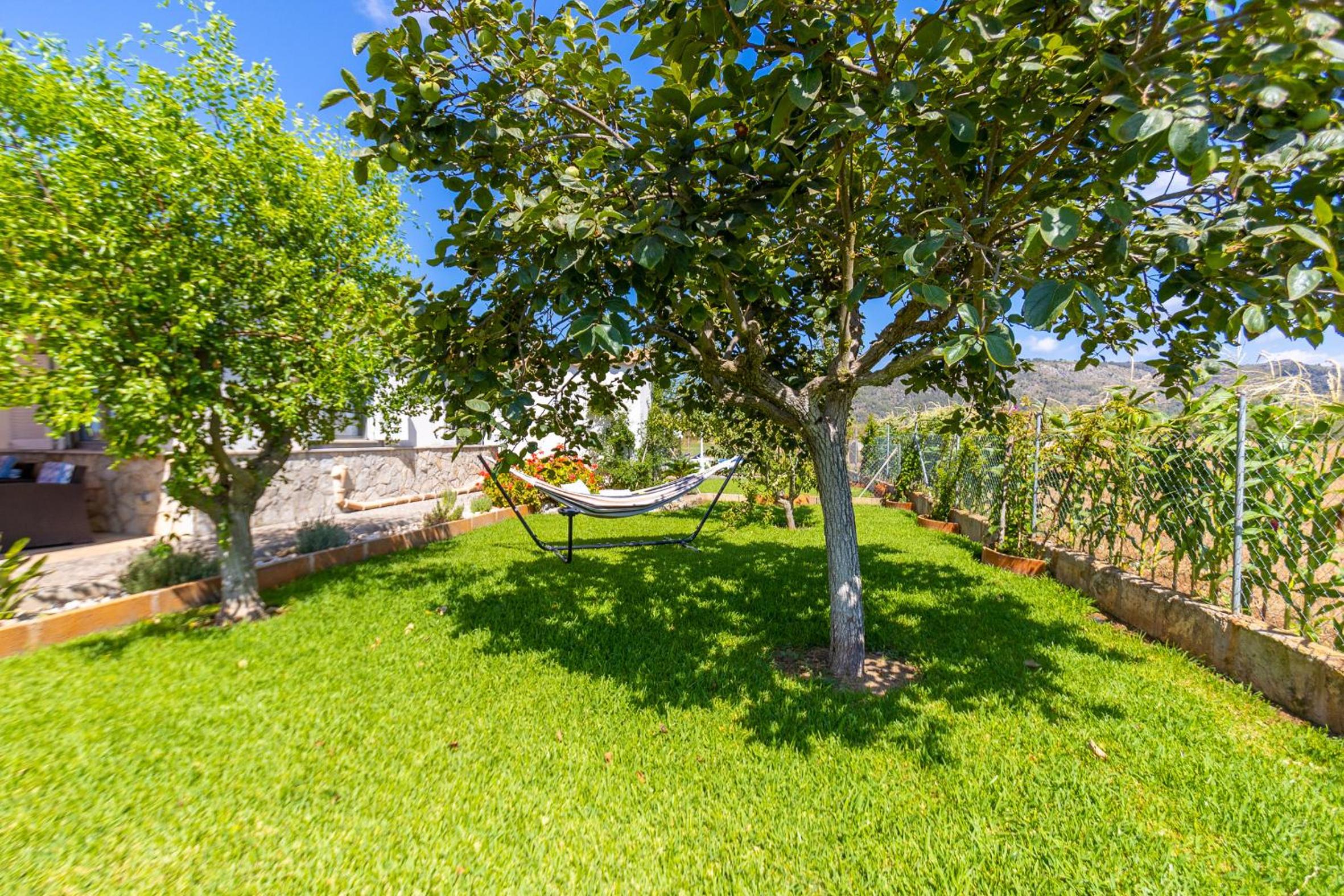 Sa Vela de Ca Na Felipa photo 4