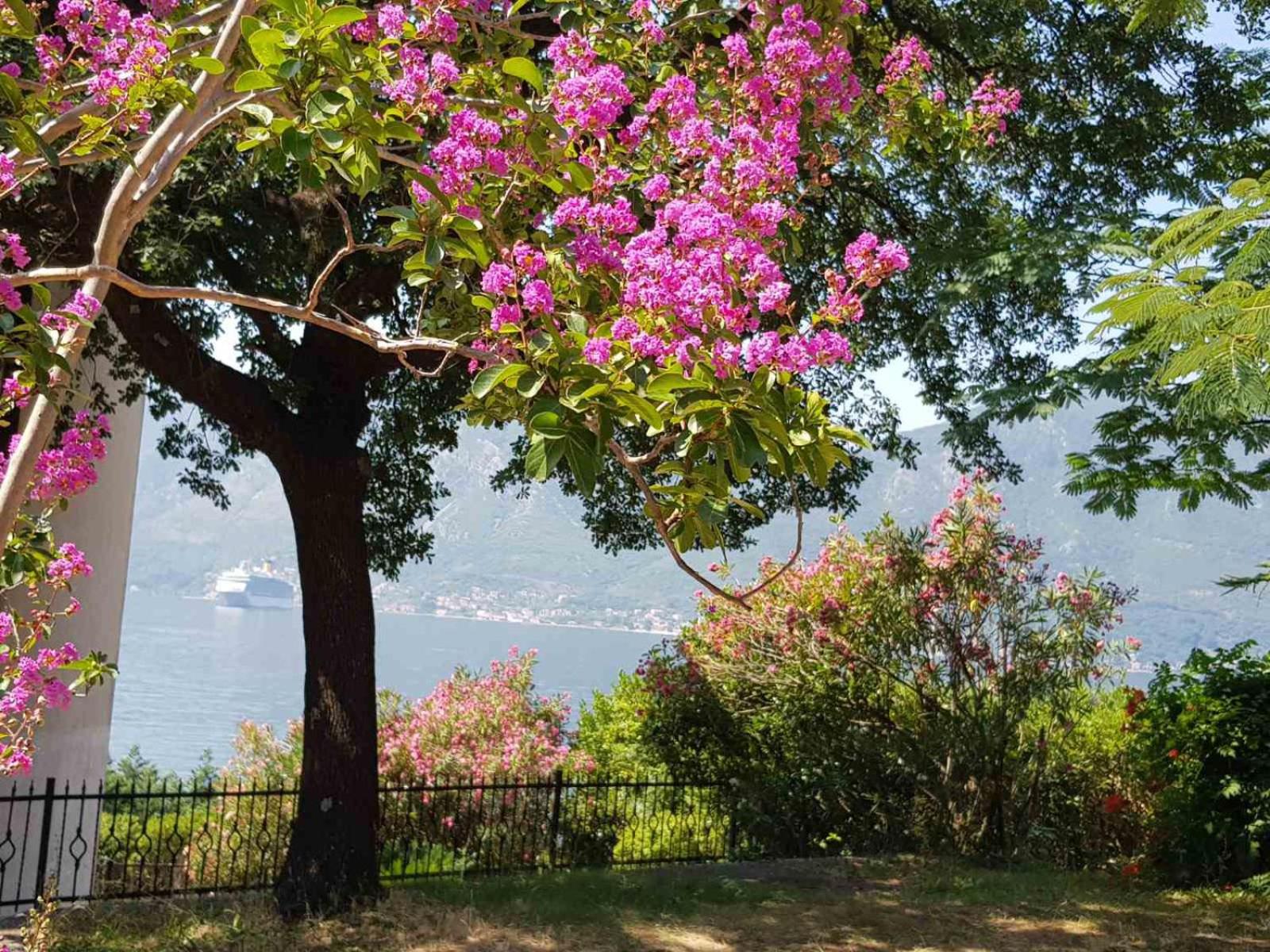 Villa Palma view 4