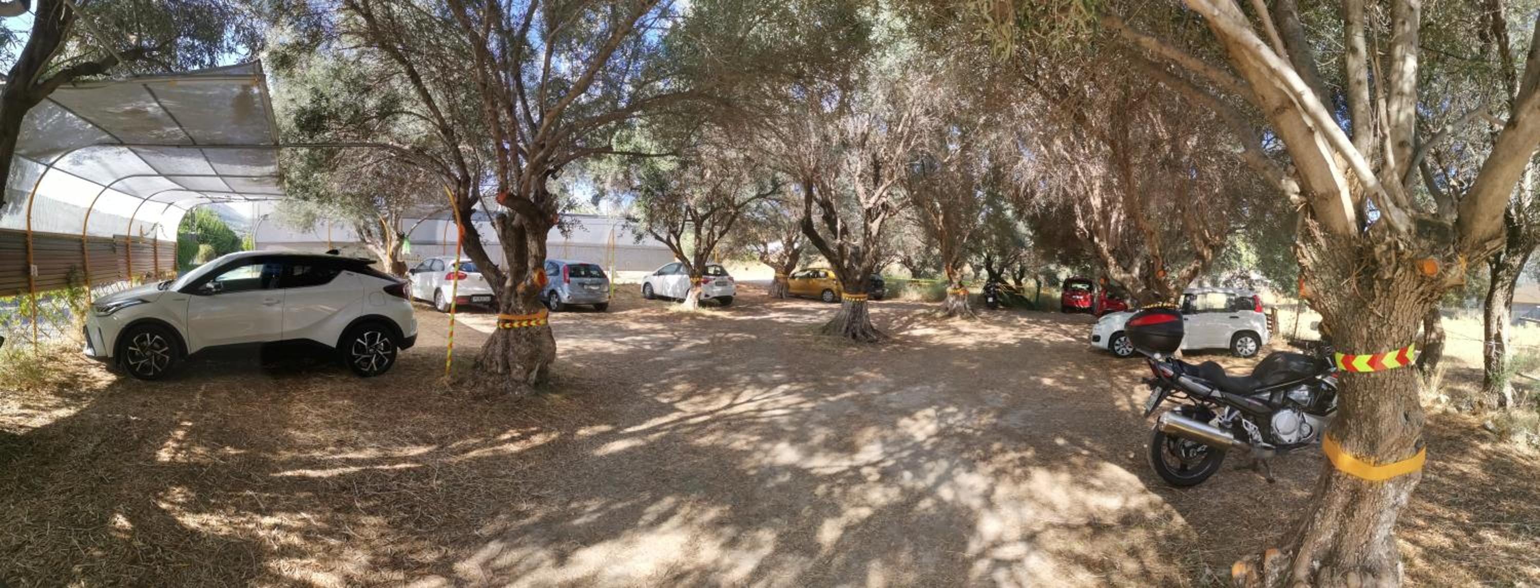 Evli Apartments
