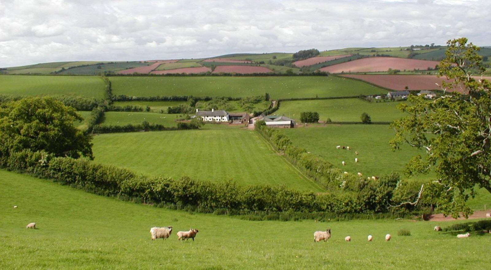 Combe Lancey Farmhouse B&B