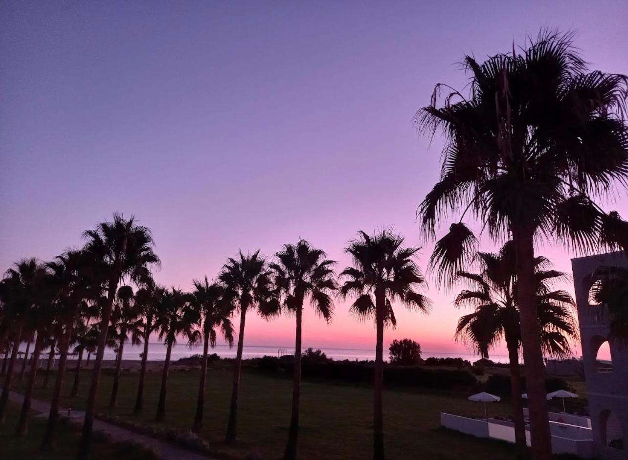 Delfina Tropic Beach
