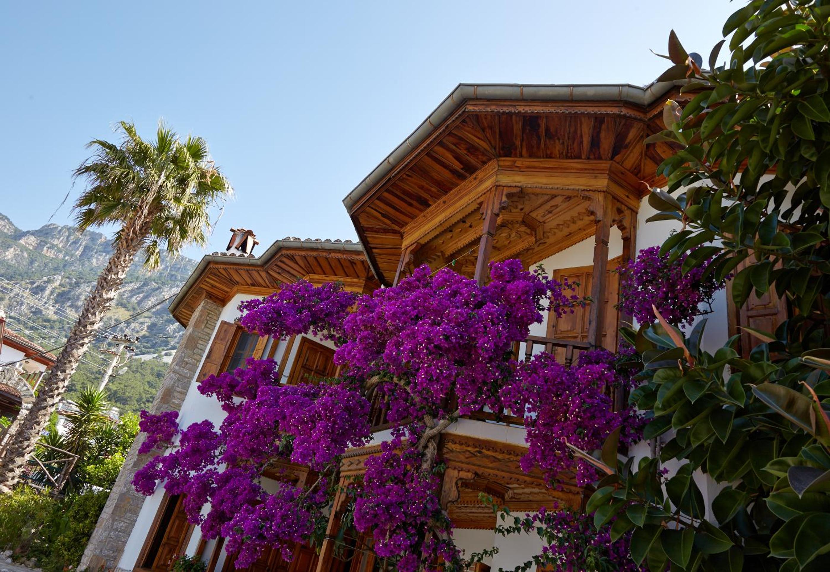 Villa Vali view 4