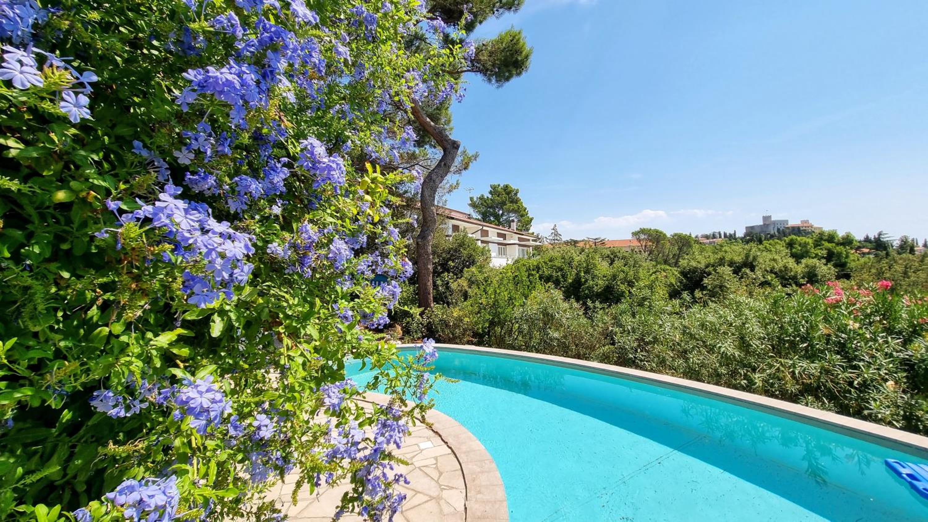 Villa Duino Trieste Reception photo 5