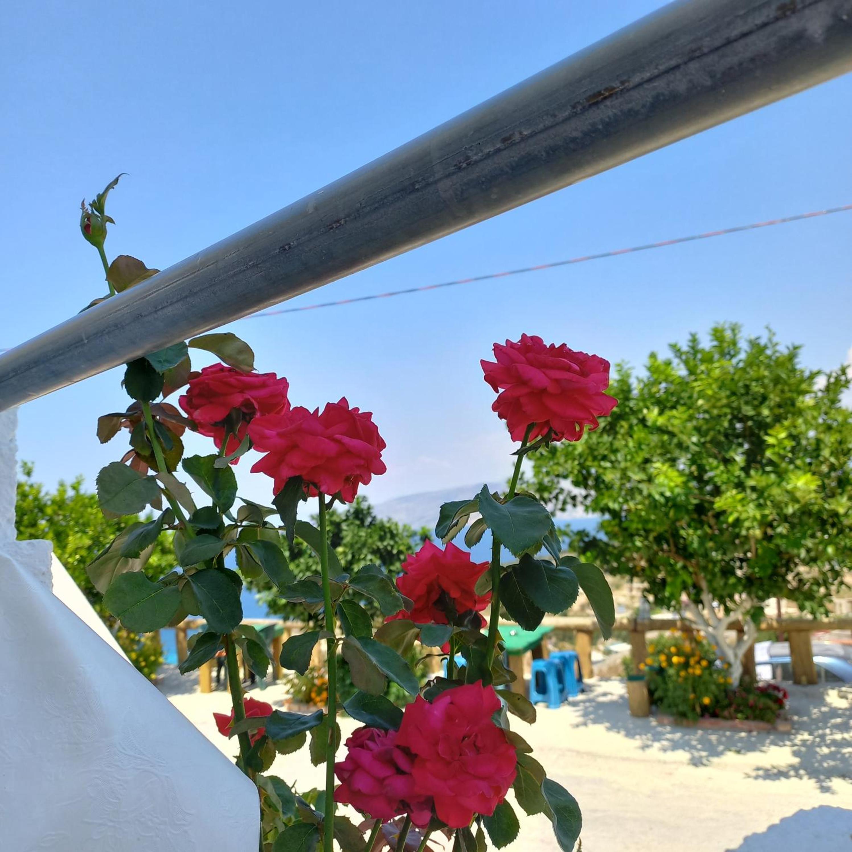 Emiljano Seaview