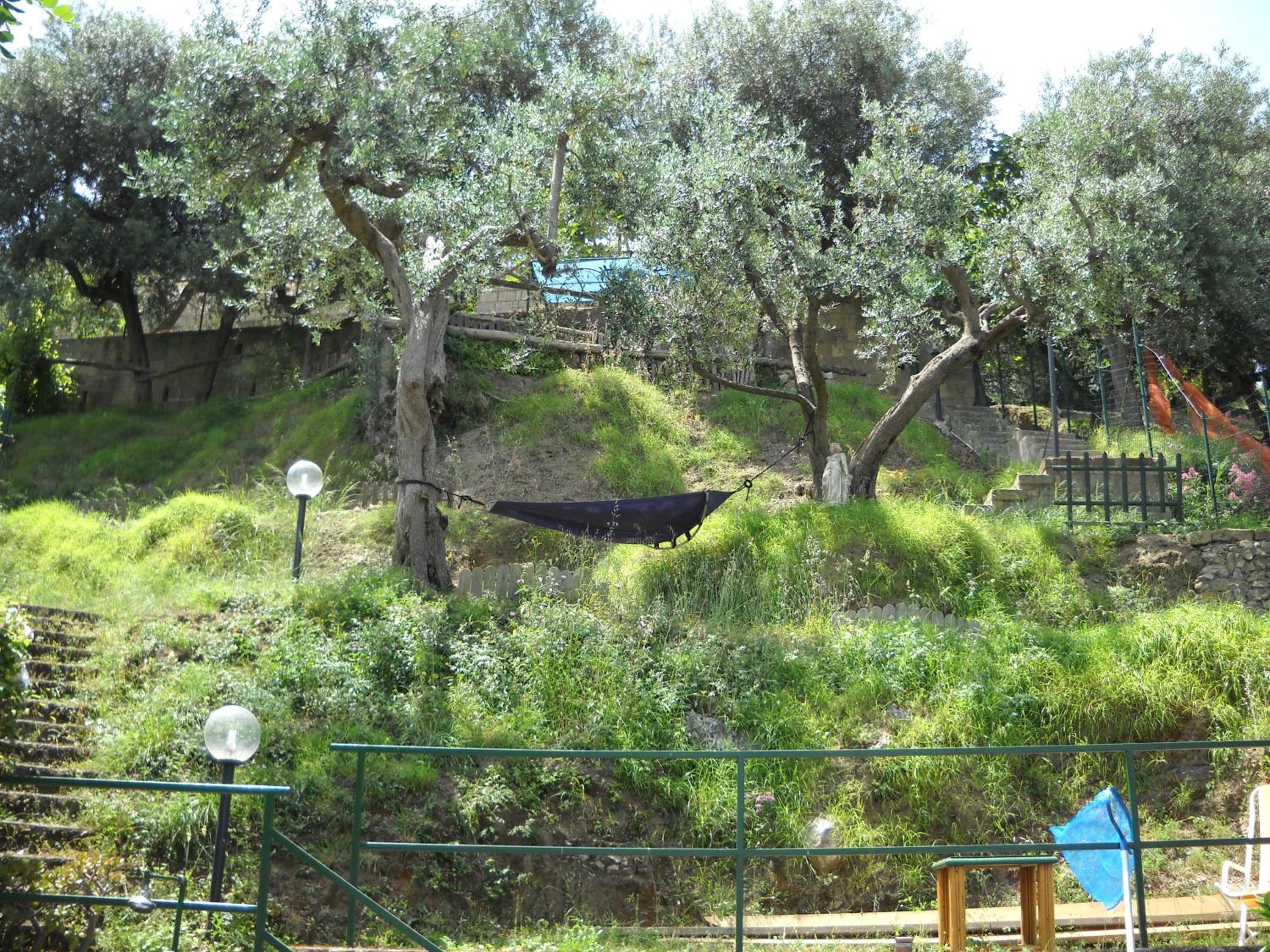 Photo 46