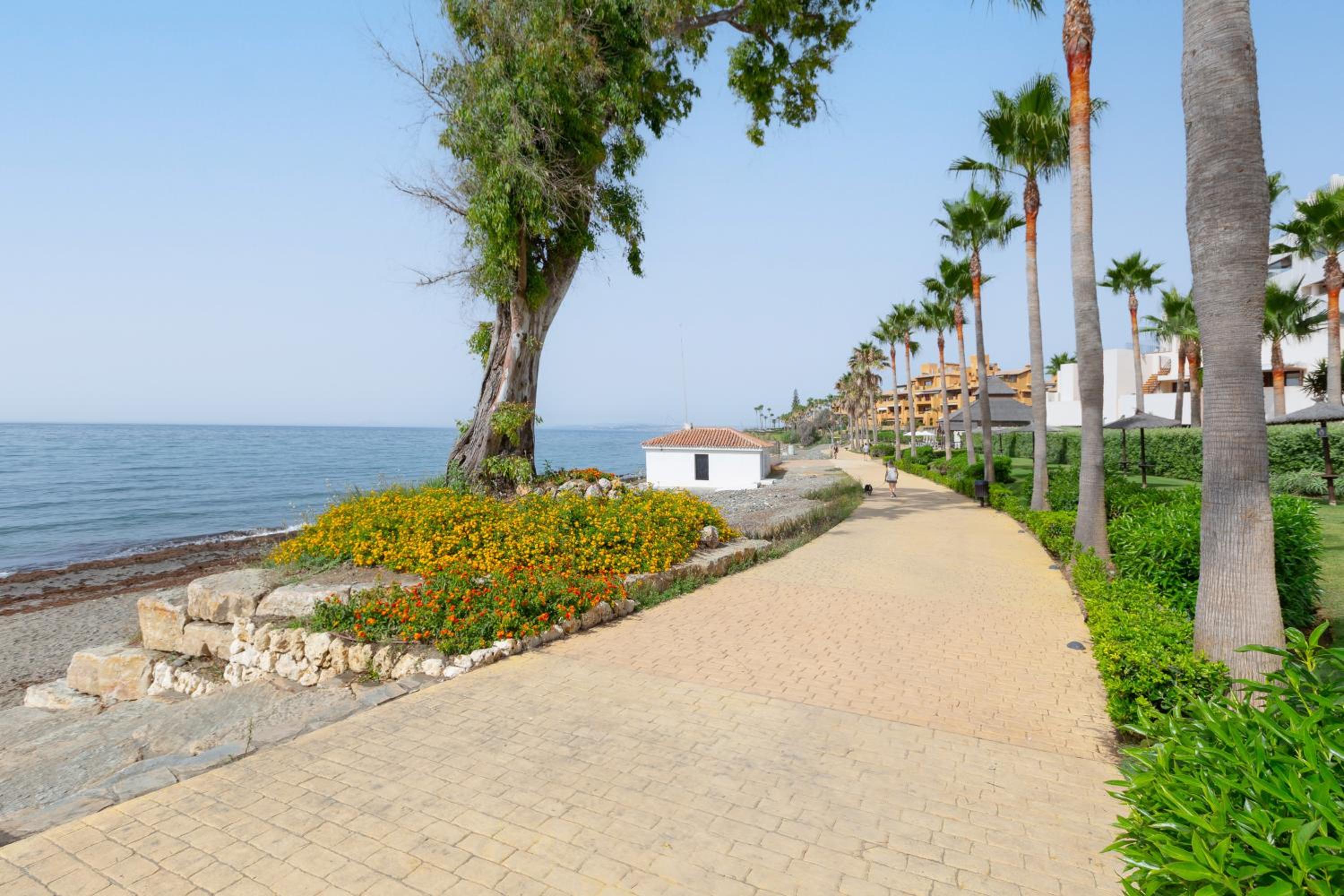 Bahia de la Plata