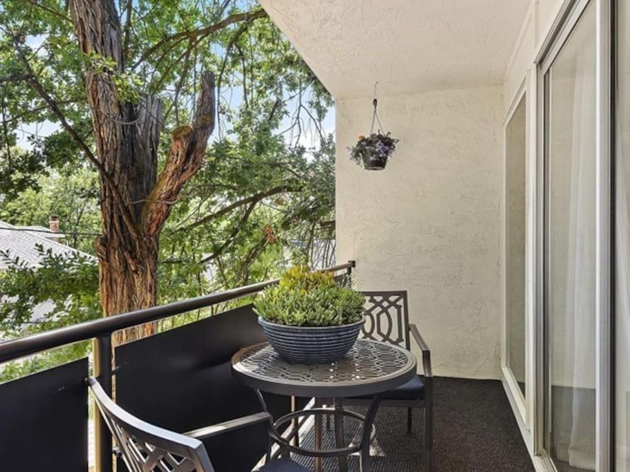 Condo 24! Prized Location. Modern! Bright! Enjoy!