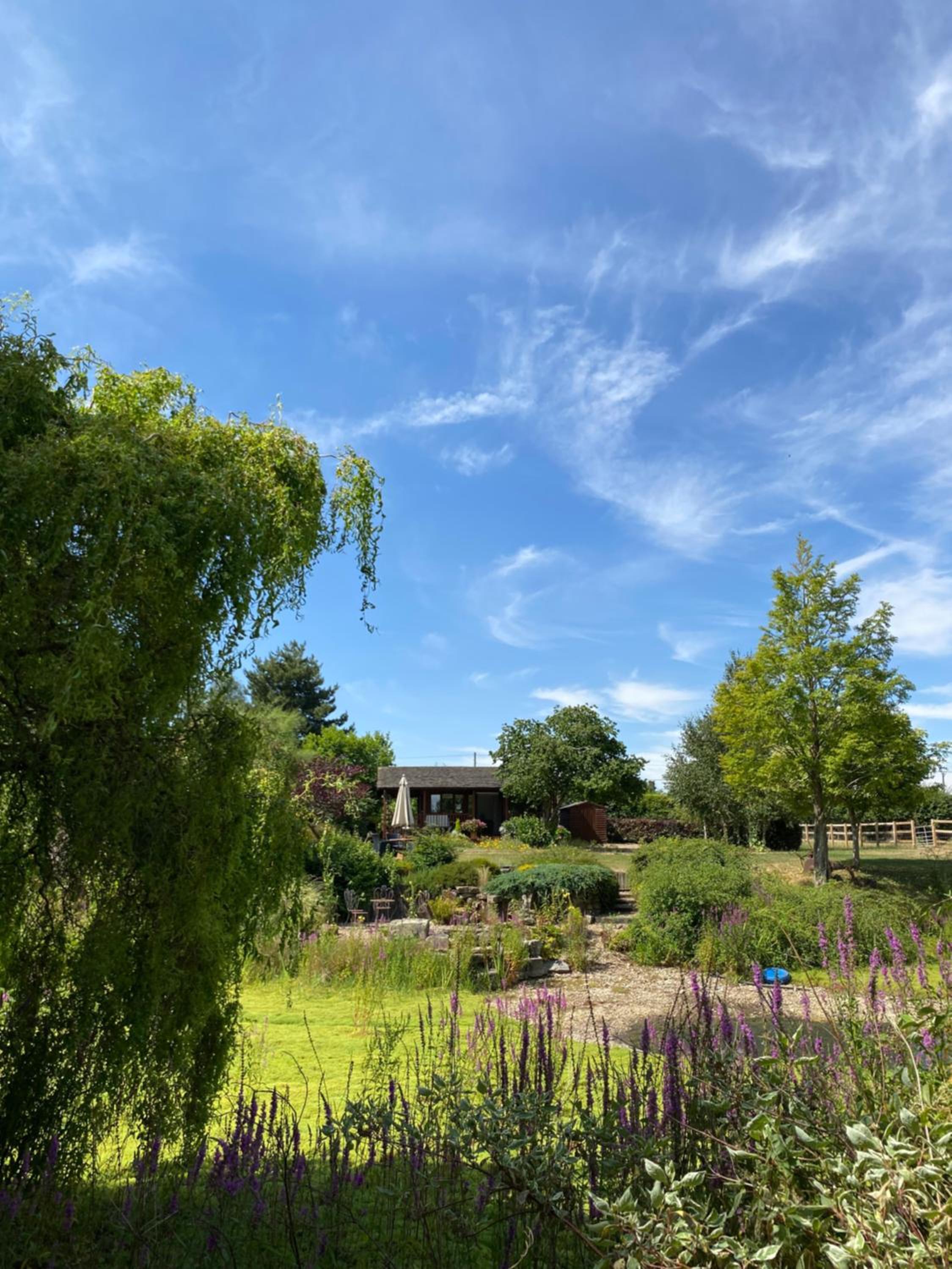 Lakeside Town Farm