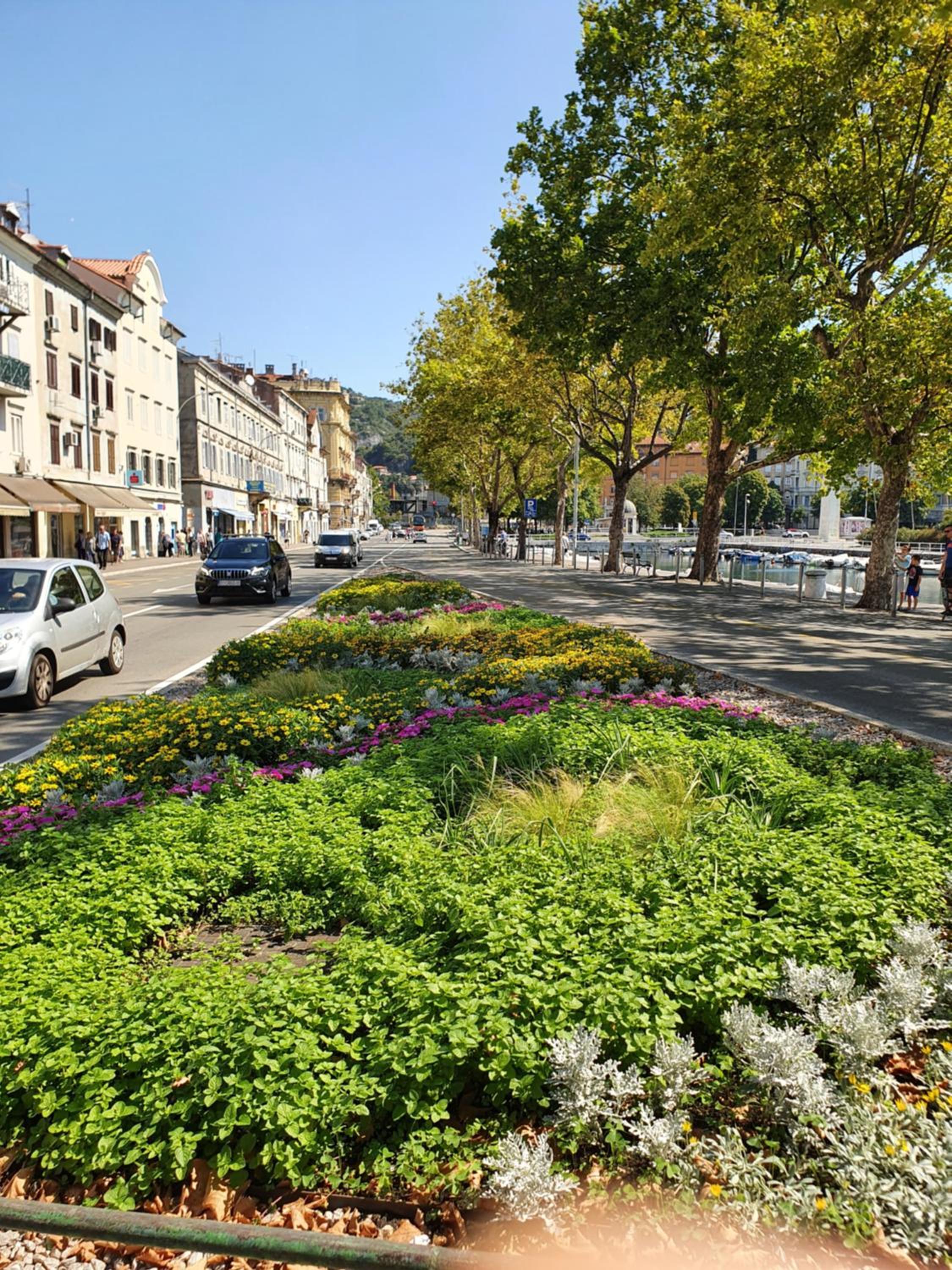Bright apartment Bloom - free parking and WiFi