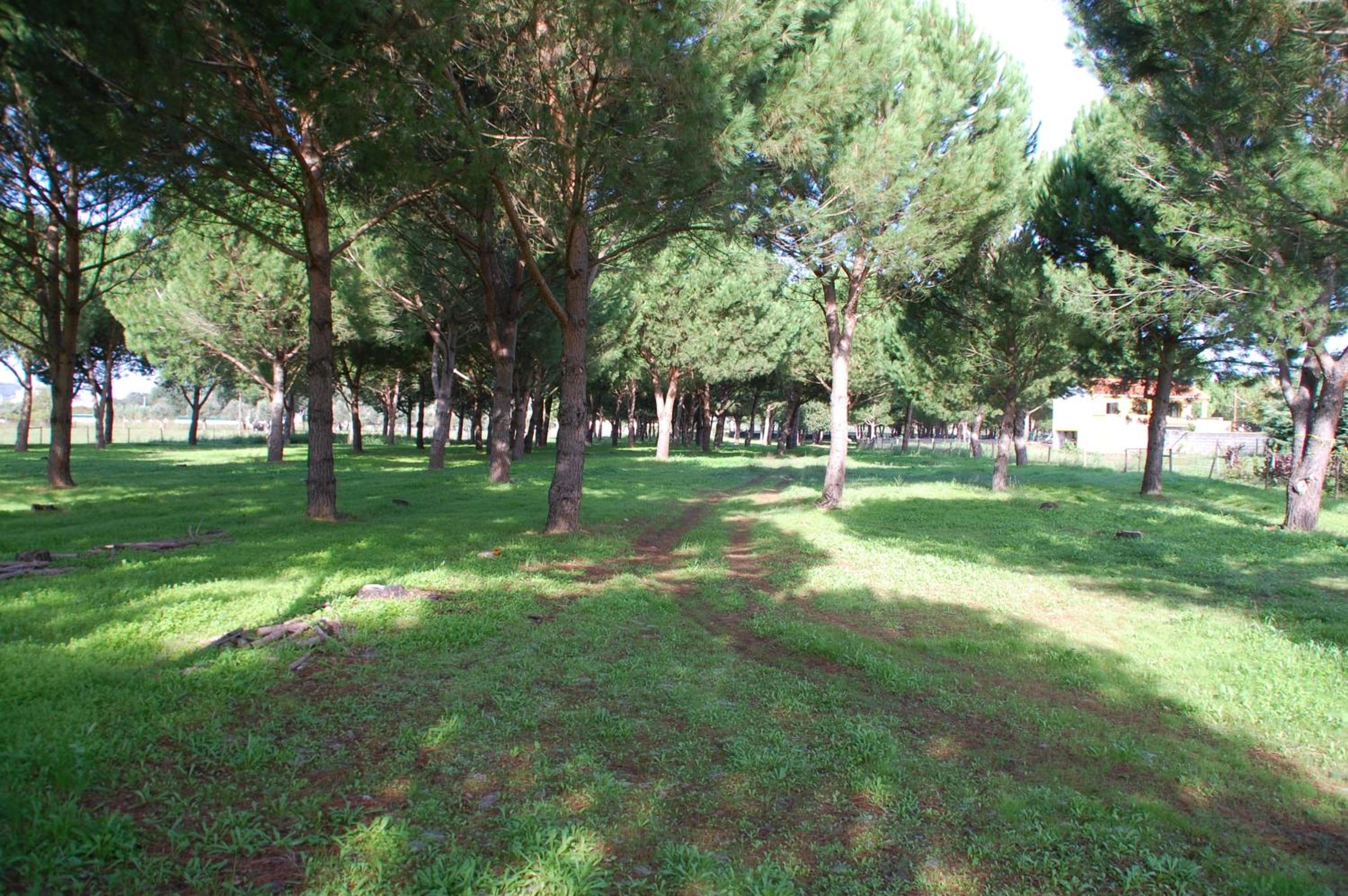 Quinta A Reforma, Zdjęcie 24