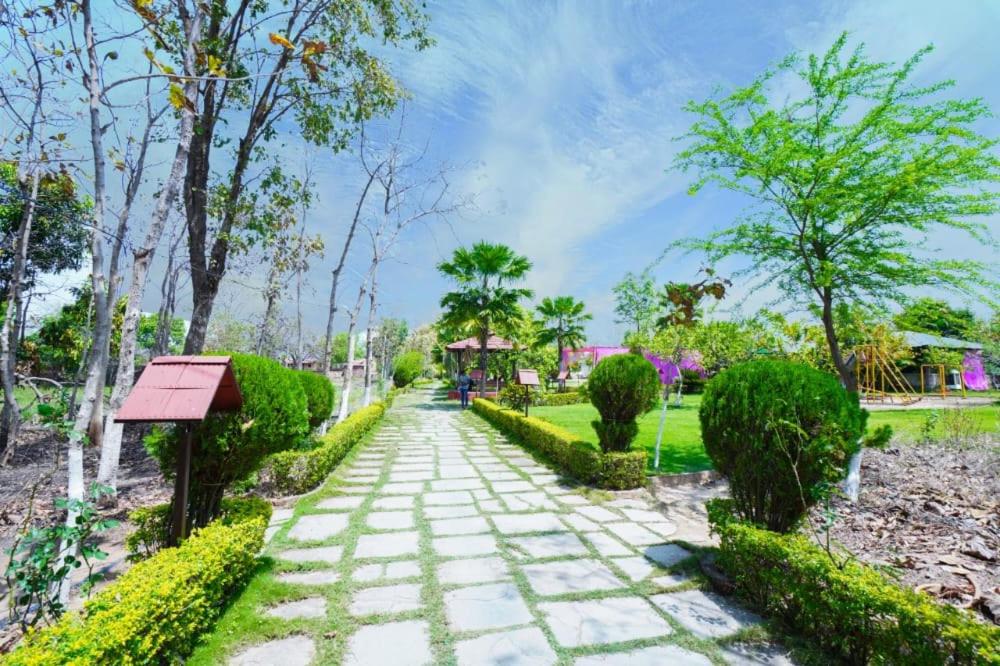 garden
