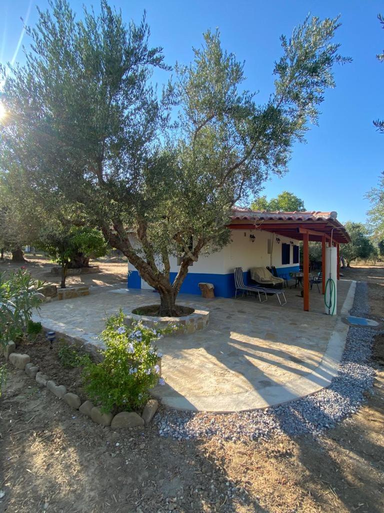 Stafida Guesthouse - Stella photo 2