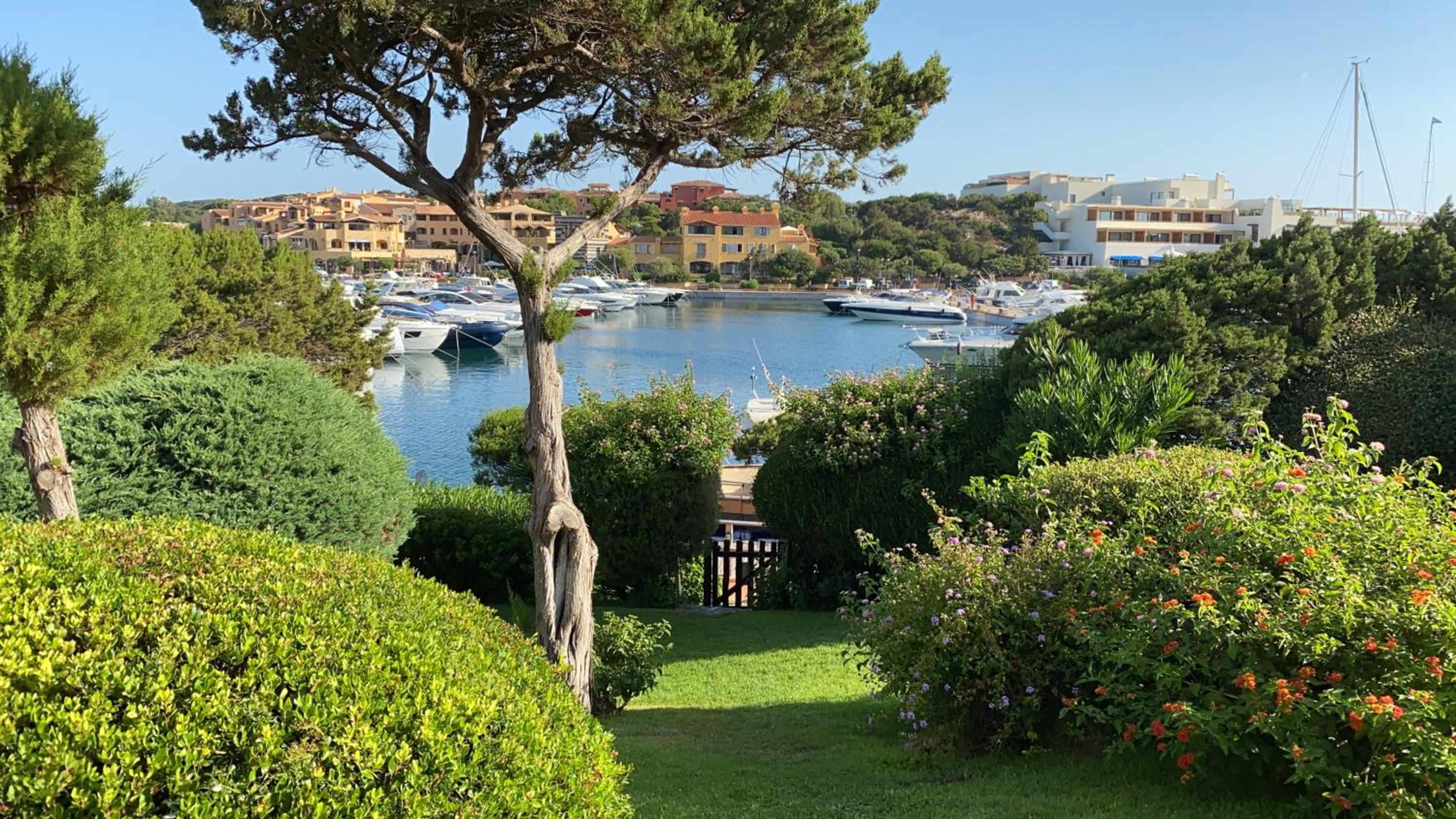 Beautiful House in the Heart of Porto Cervo photo 3