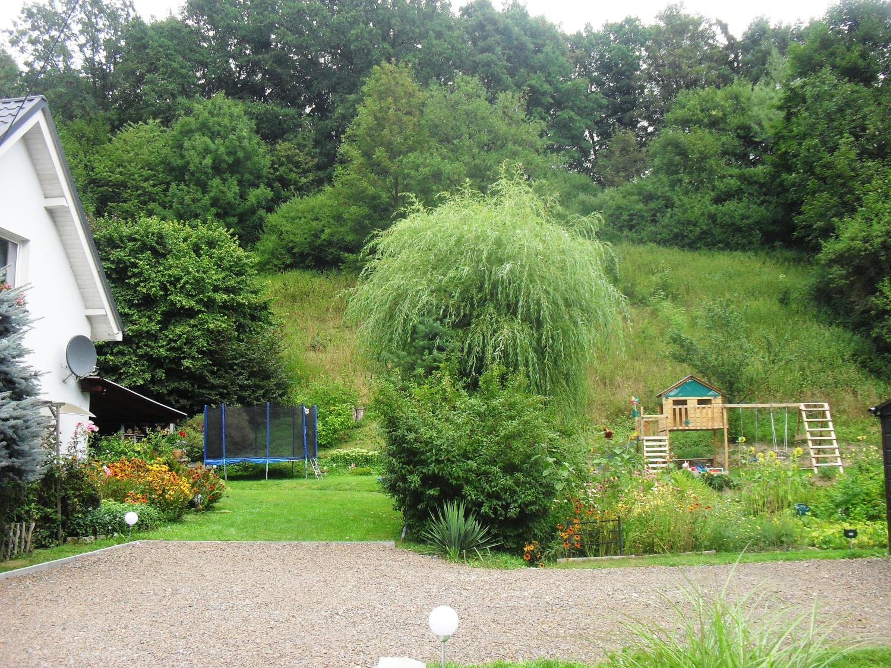 Photo 43
