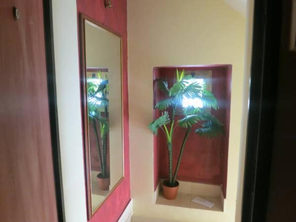 CASA GINA photo 3