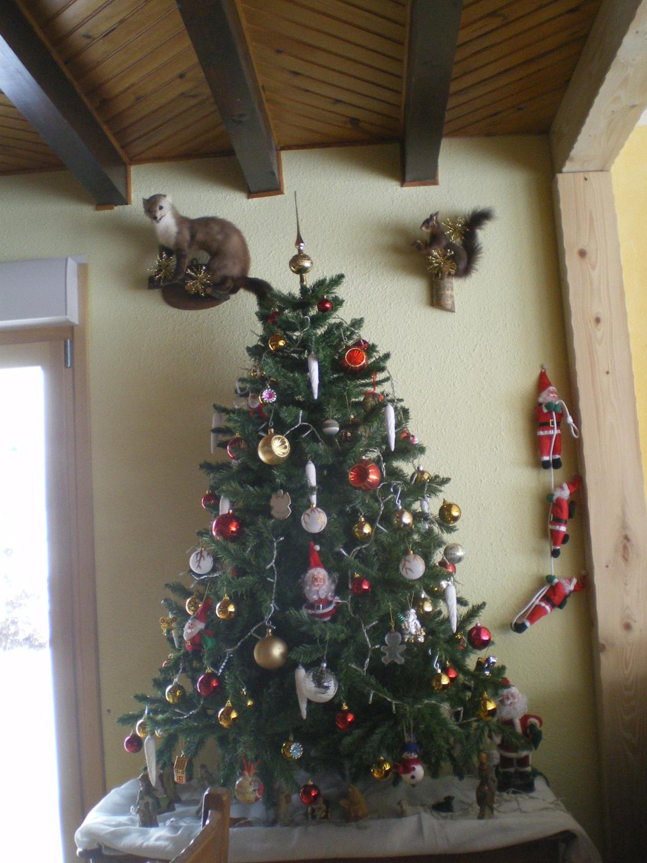 Photo 28