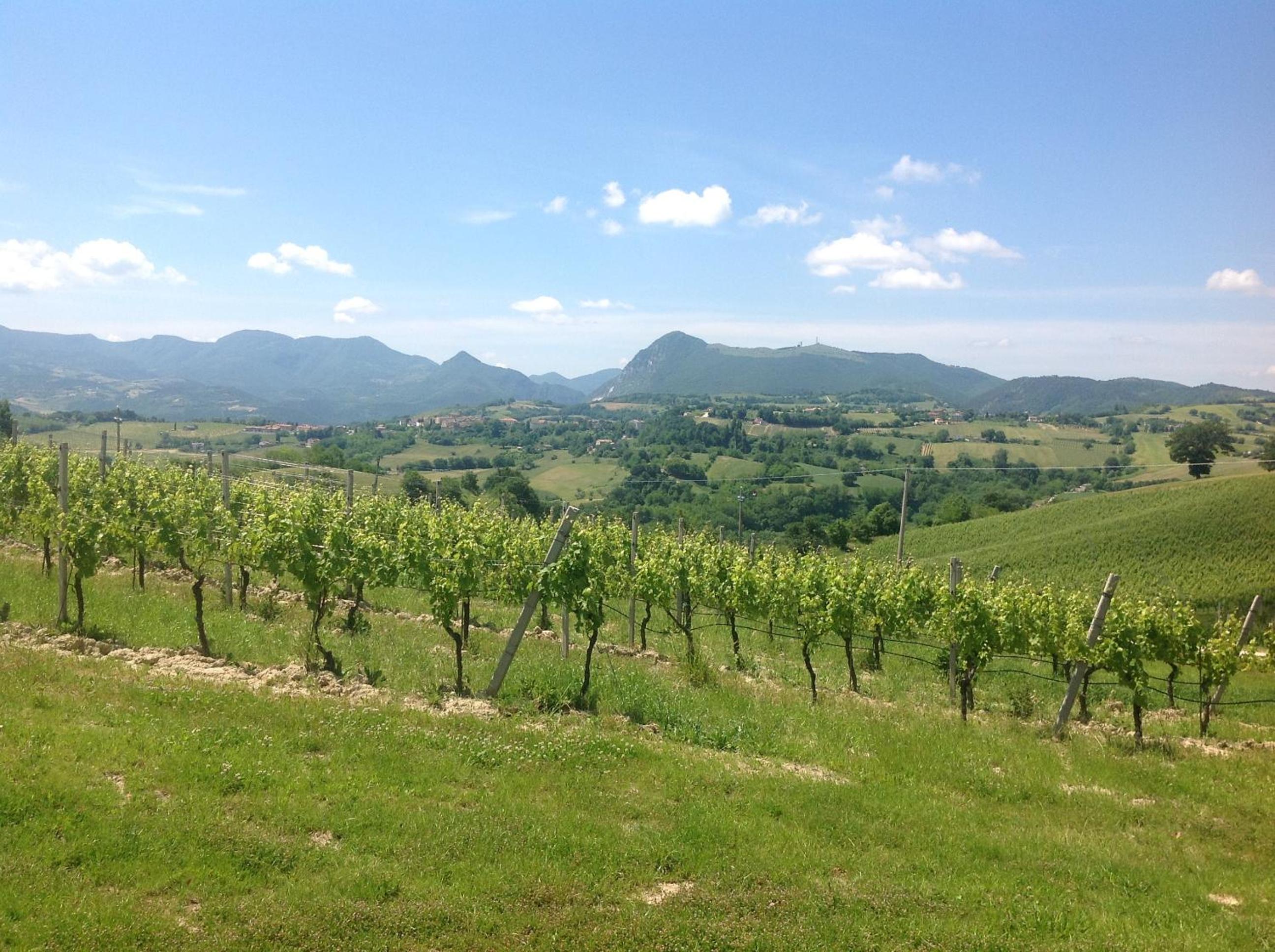 Vittoria Il Graditempo Country House
