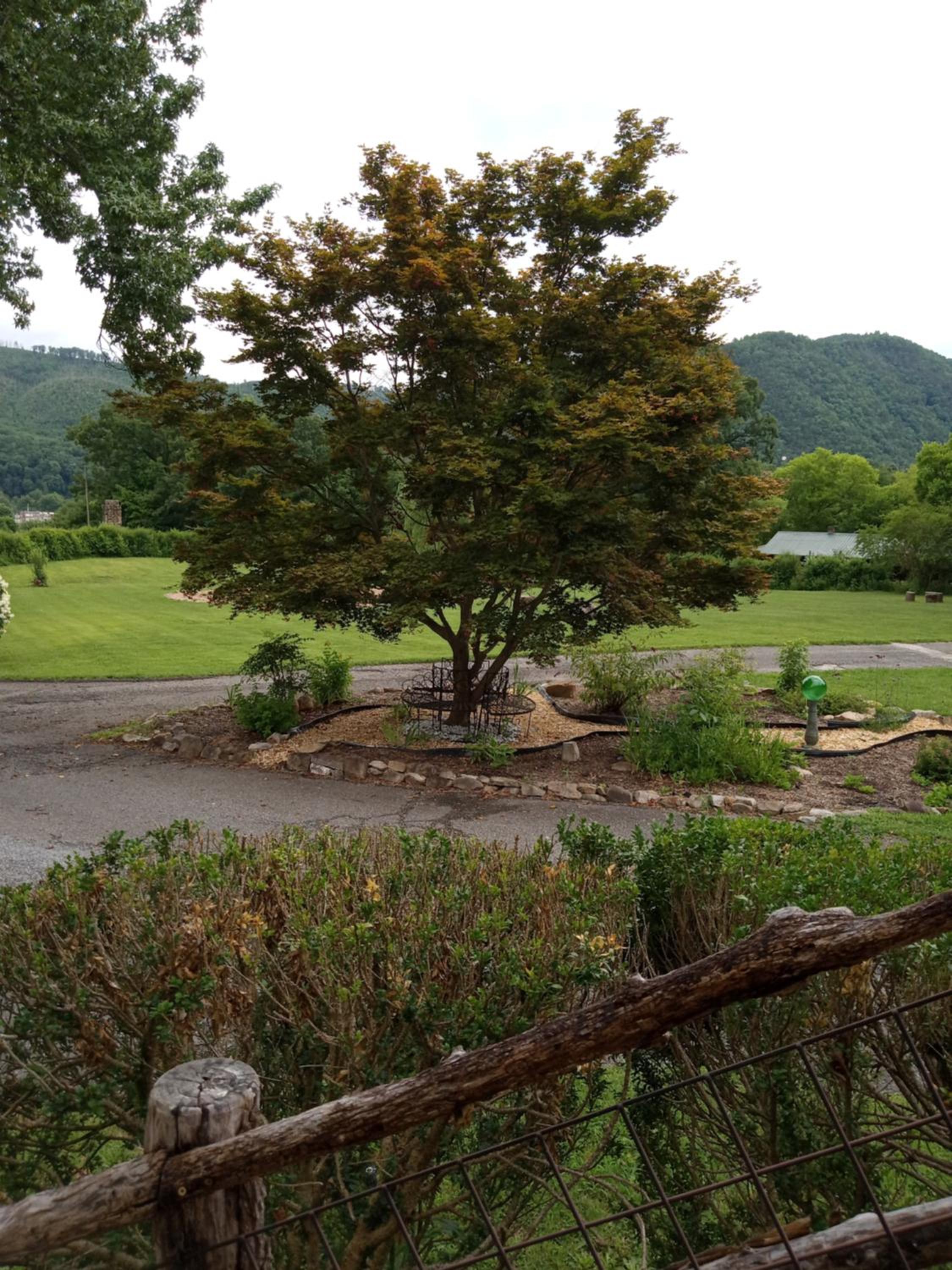 children's play area