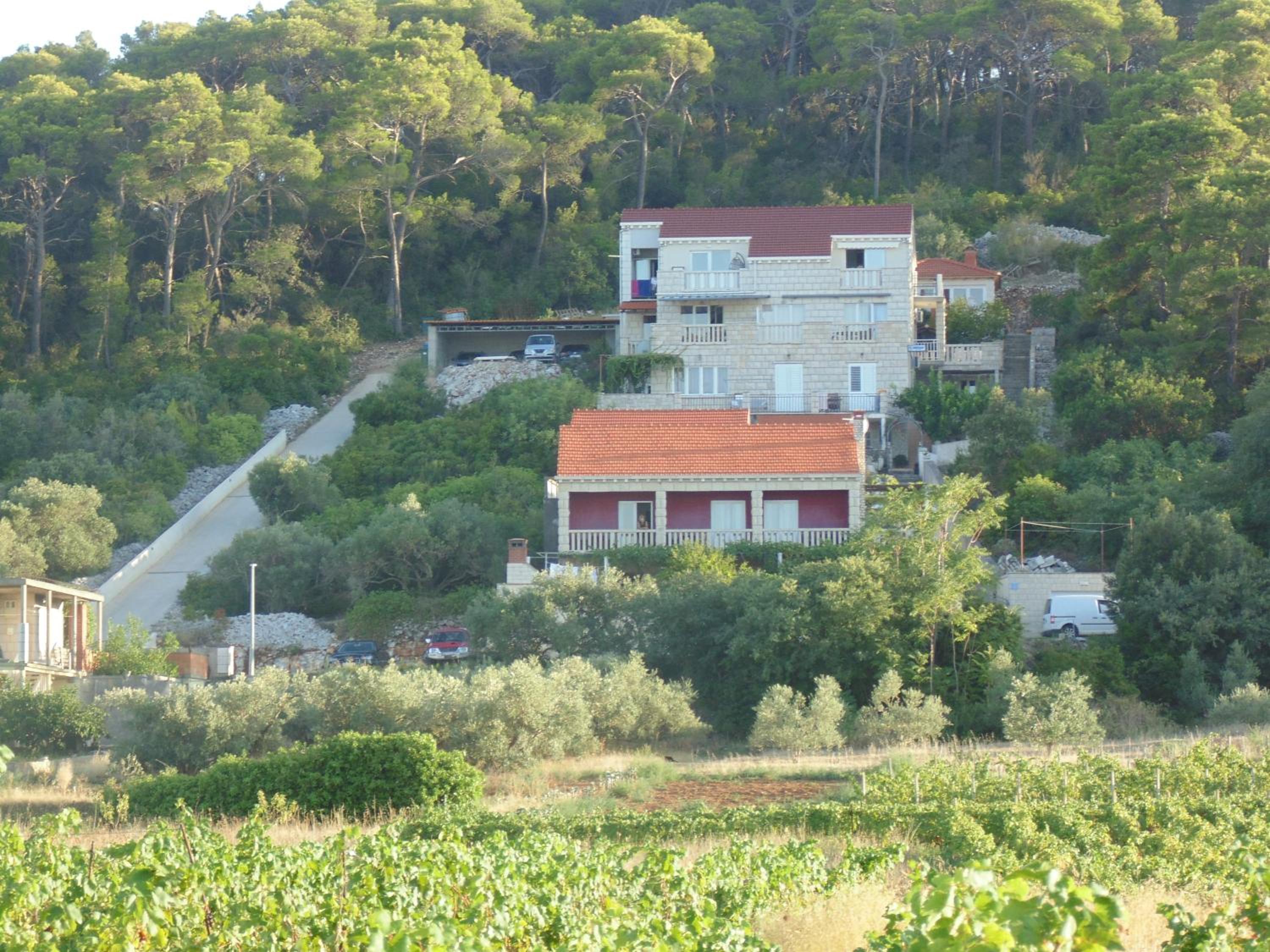 Photo 40
