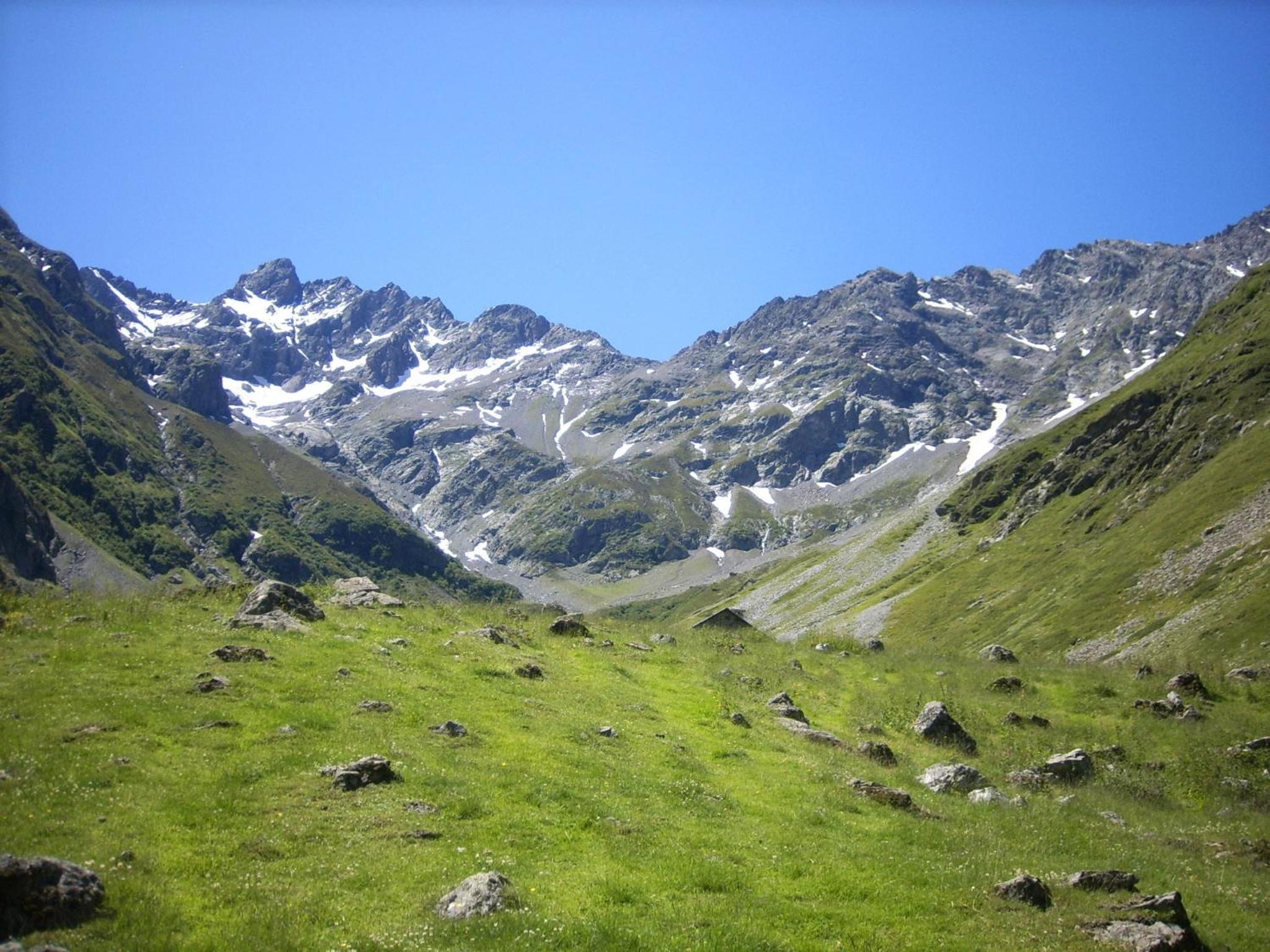 Photo 41