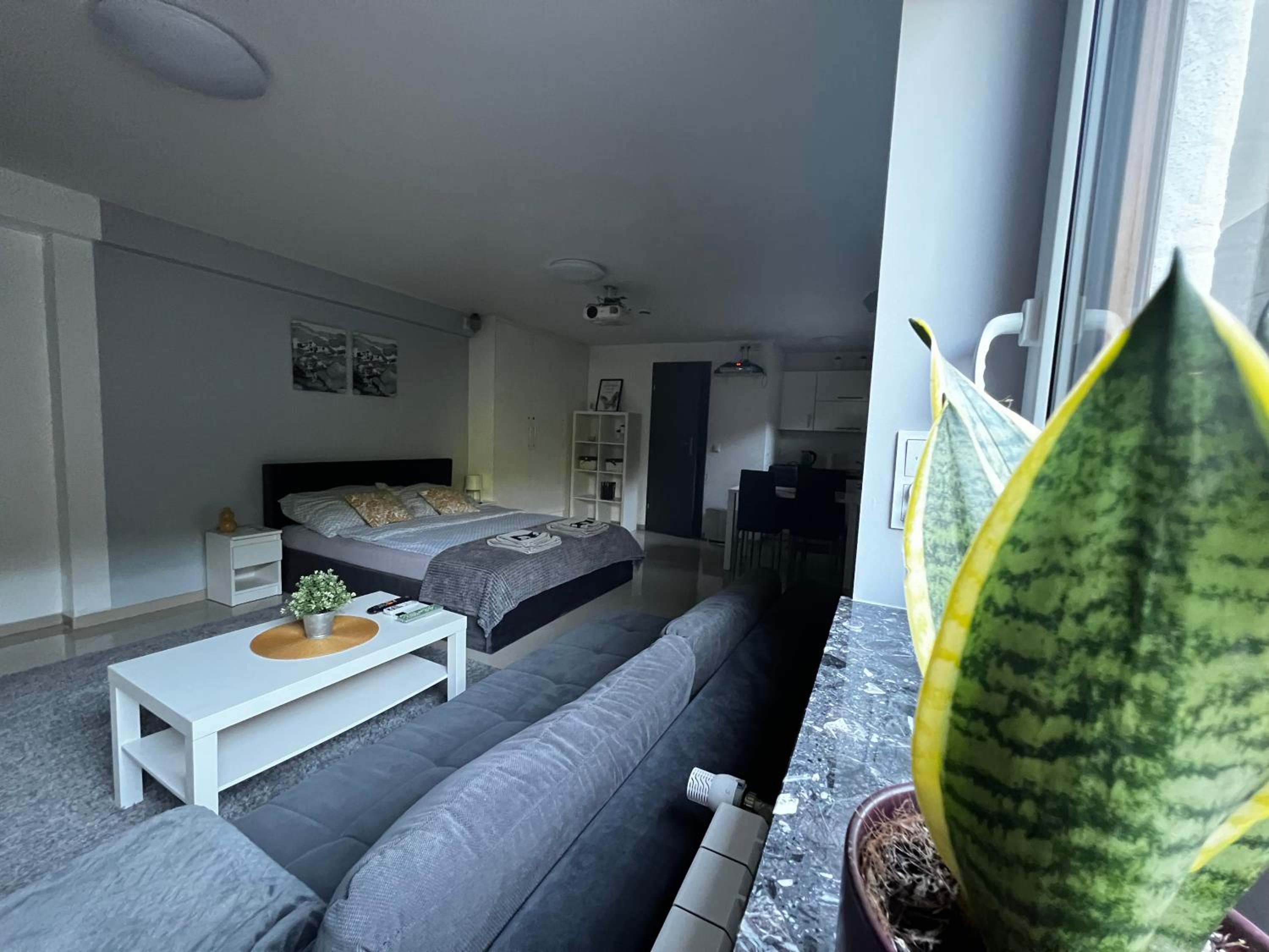 Apartament PLAY view 5