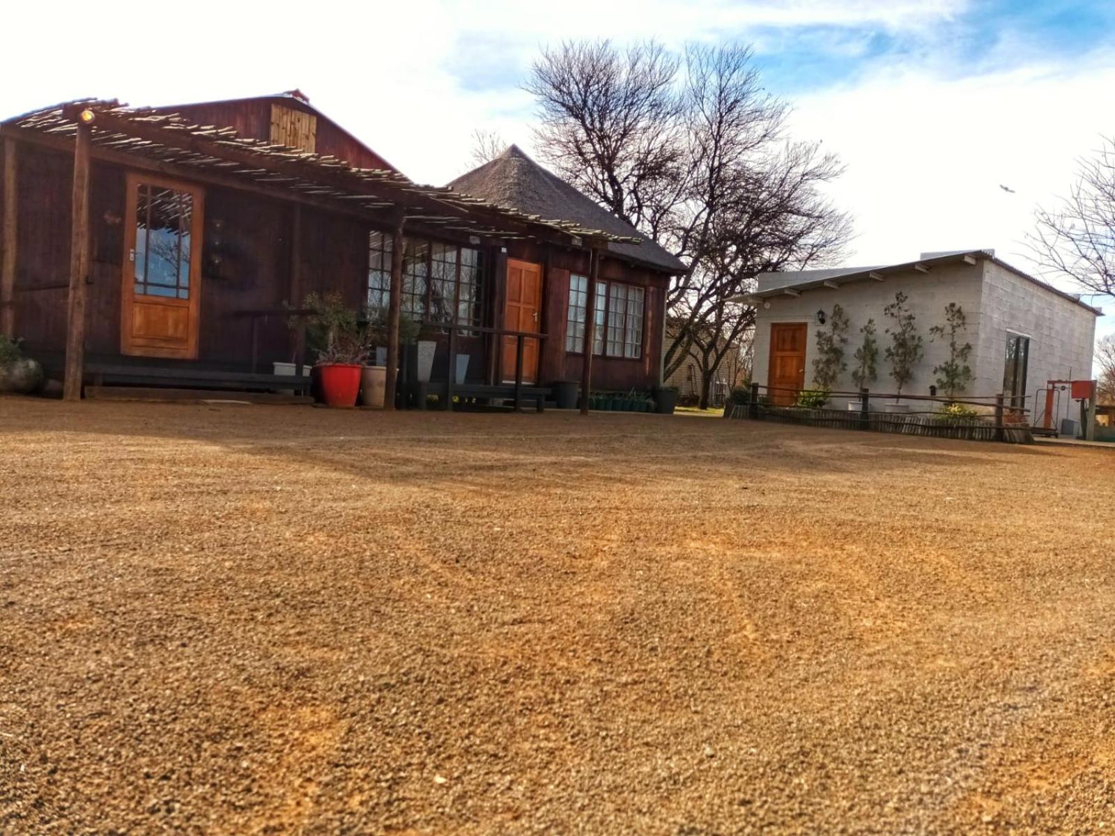 Thorn Tree Bloemfontein