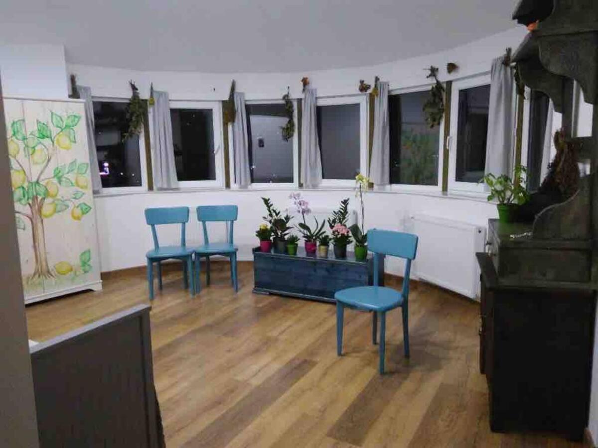 Lemon tree apartment view 5