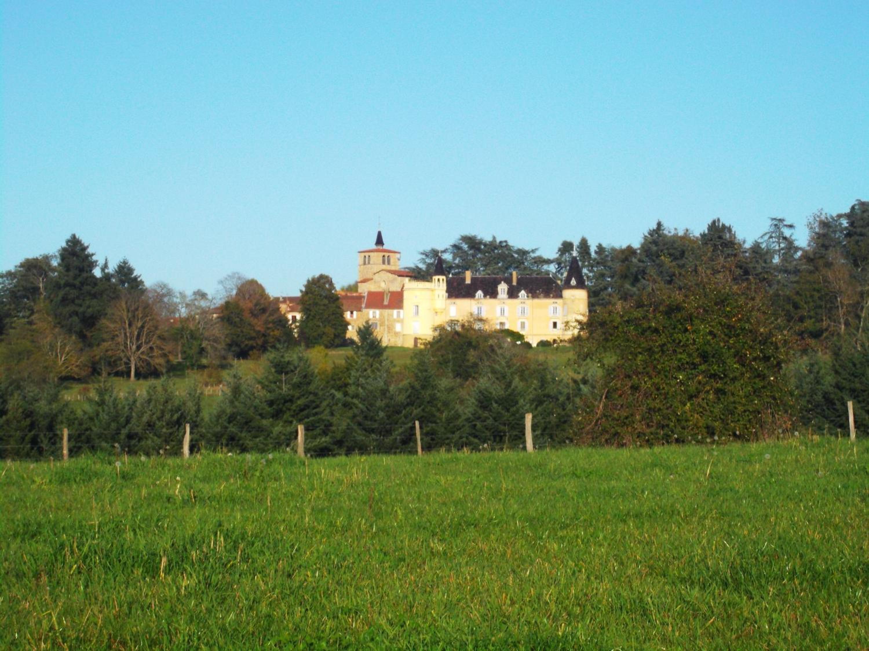 Photo 19