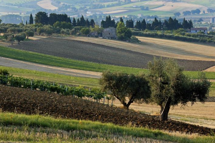 Agriturismo Il Gelso Antico