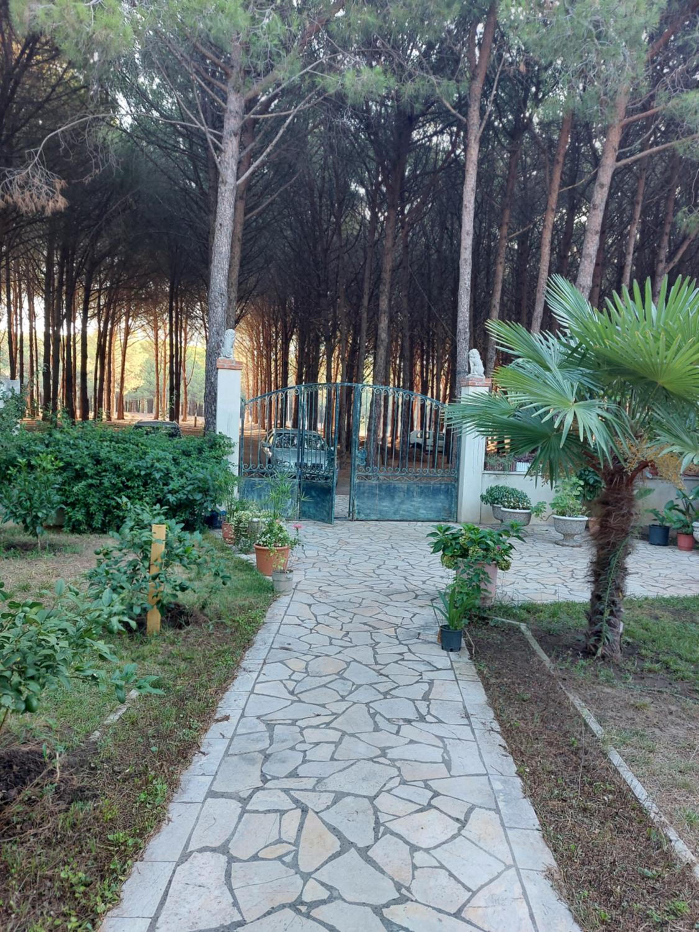 Villa Viluni
