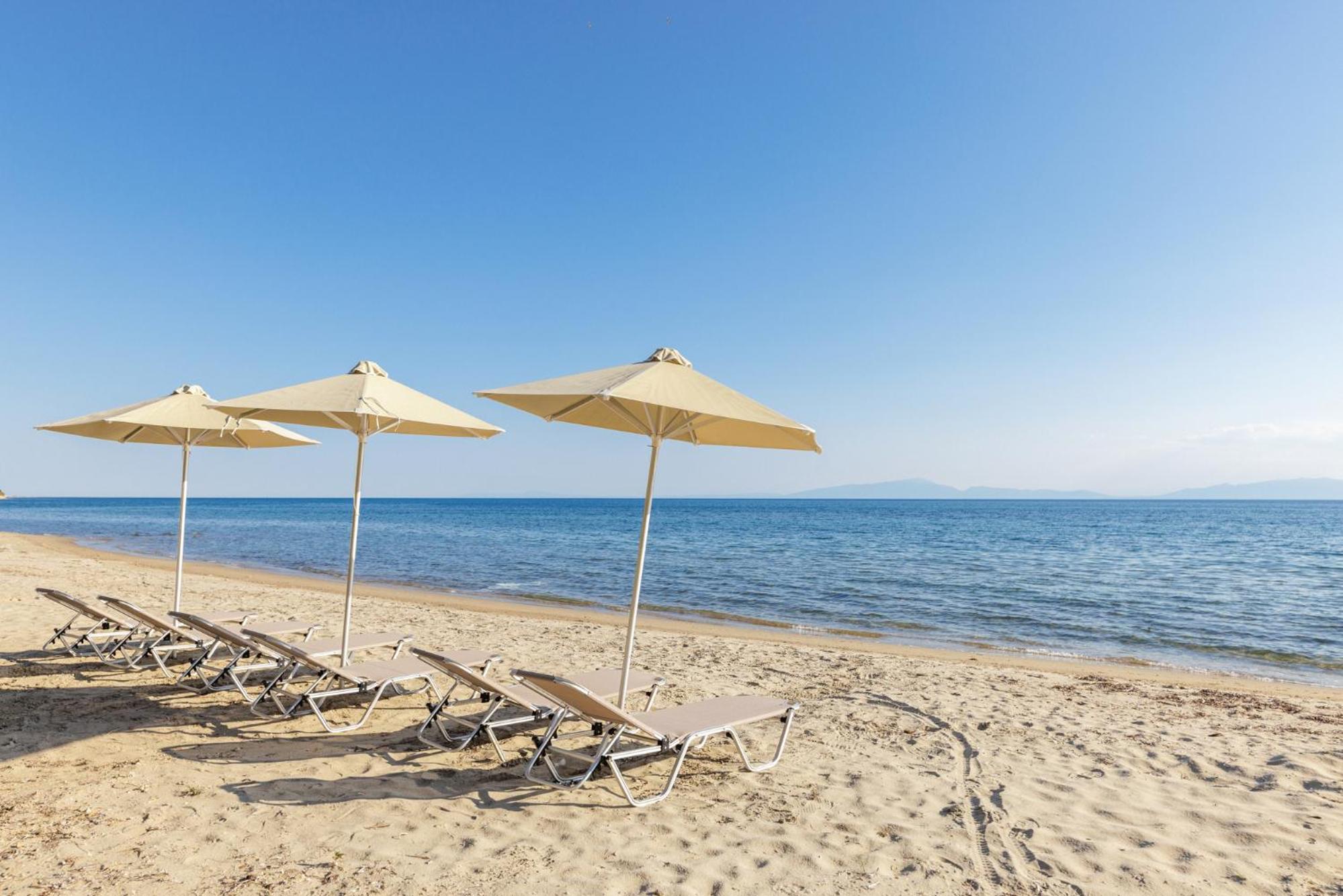 Photo 53
