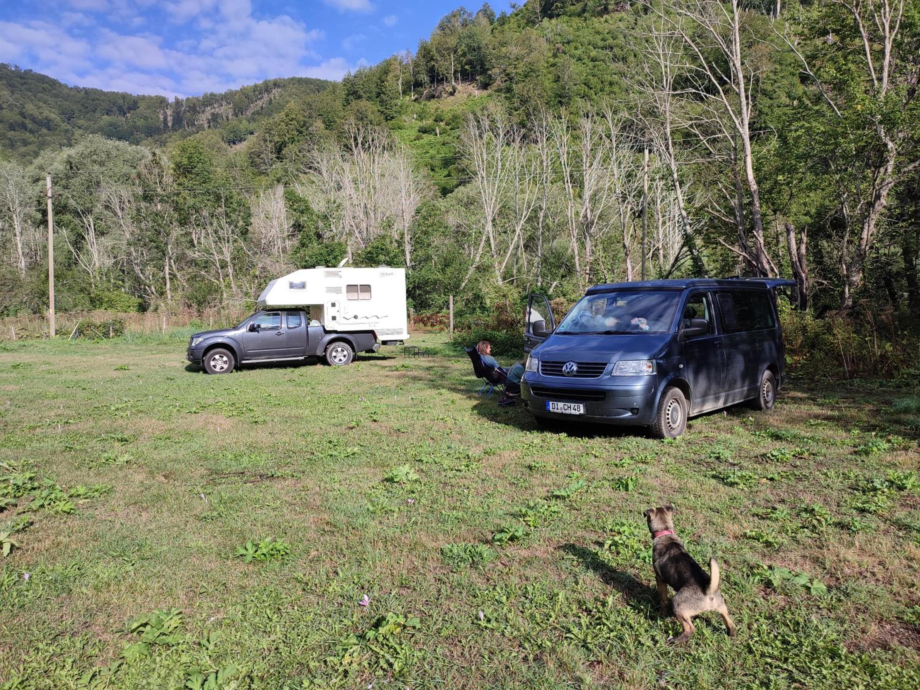Photo 42