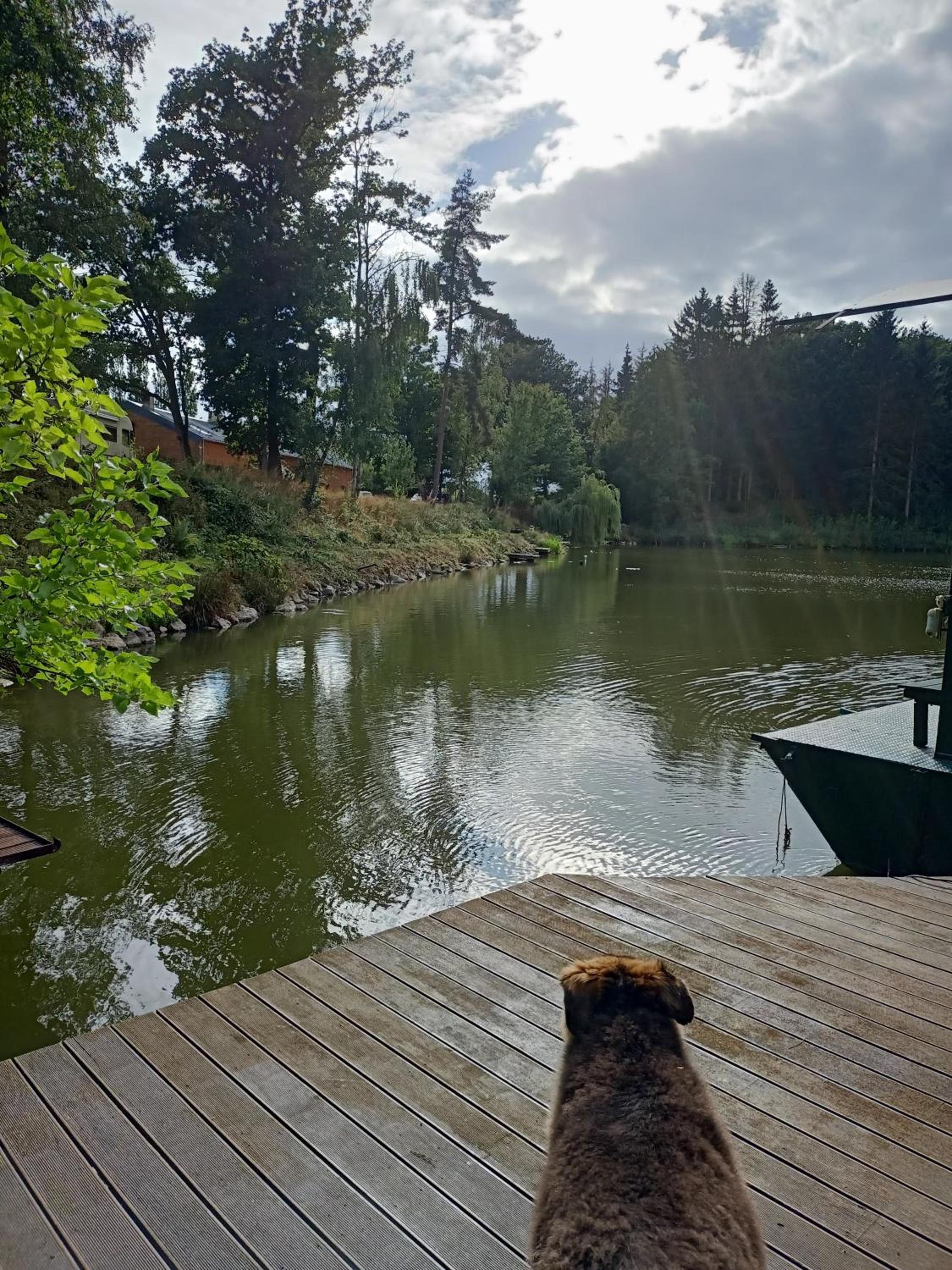 le bateau sur lac privé de 2 hectares poissonneux au milieu des bois view 4