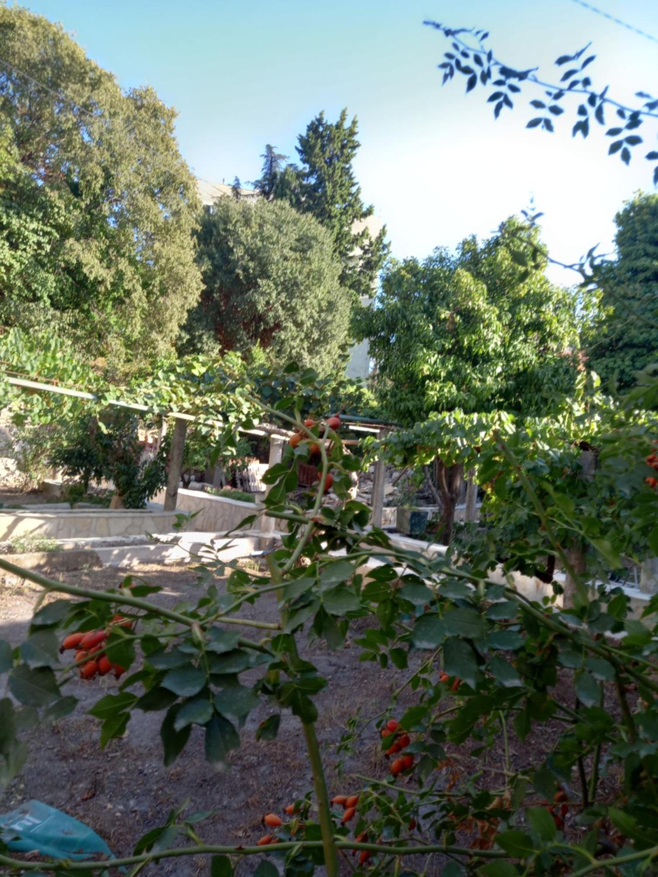 Stone oasis Vito